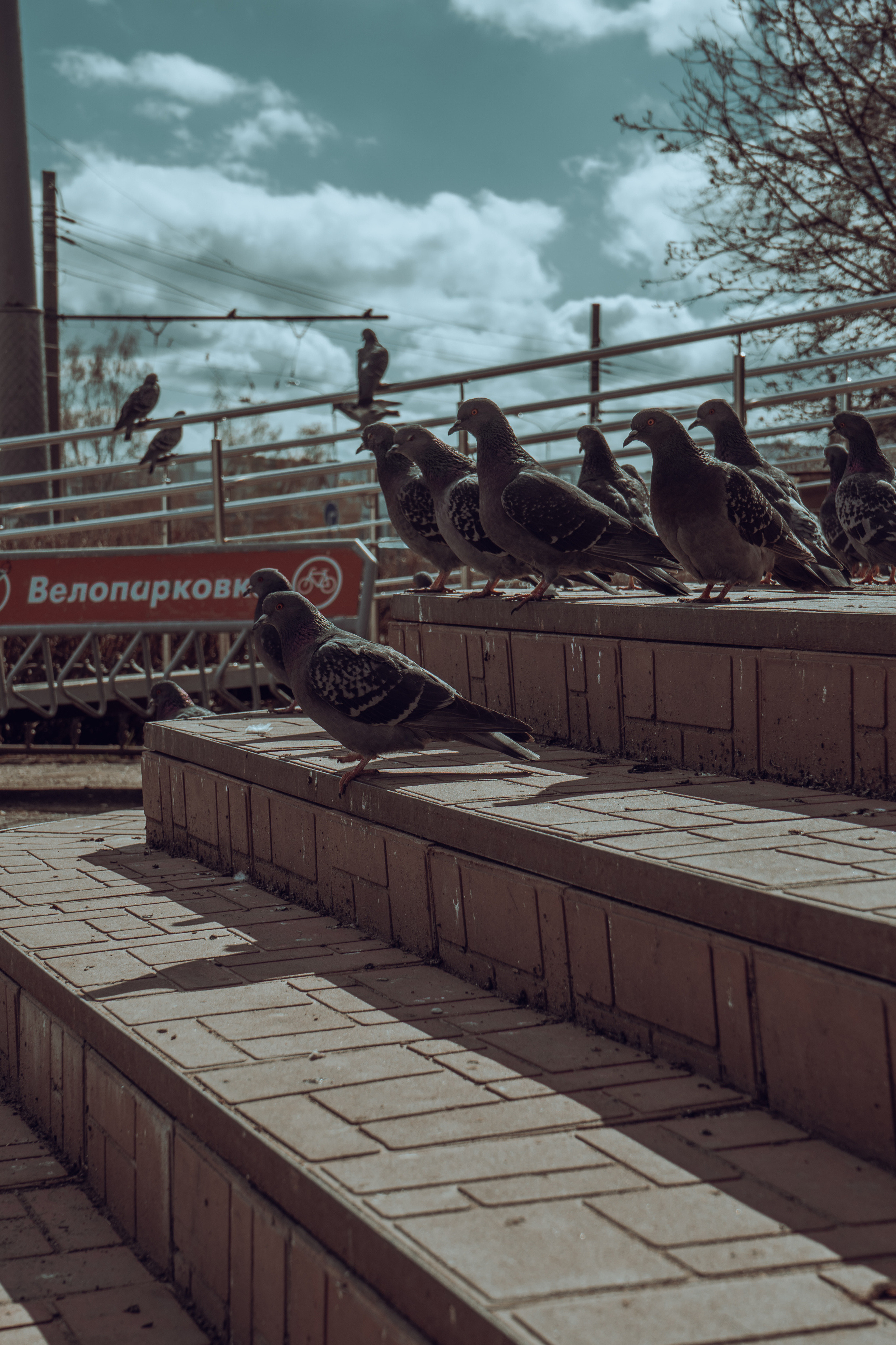 Стрит — фотография в Санкт-Петербурге. Портретный фотограф в Санкт-Петербурге Дори Милиева