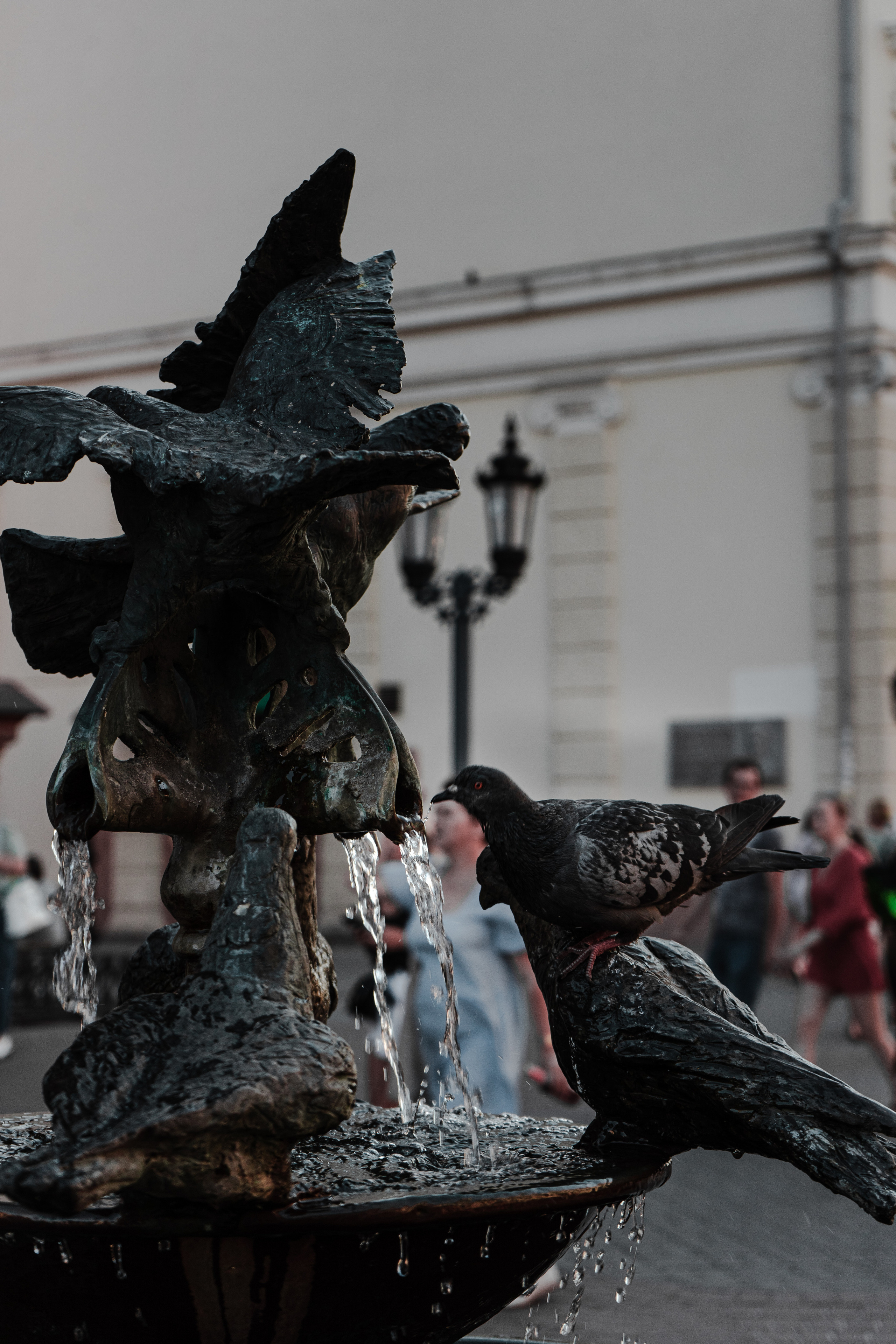Стрит — фотография в Санкт-Петербурге. Портретный фотограф в Санкт-Петербурге Дори Милиева
