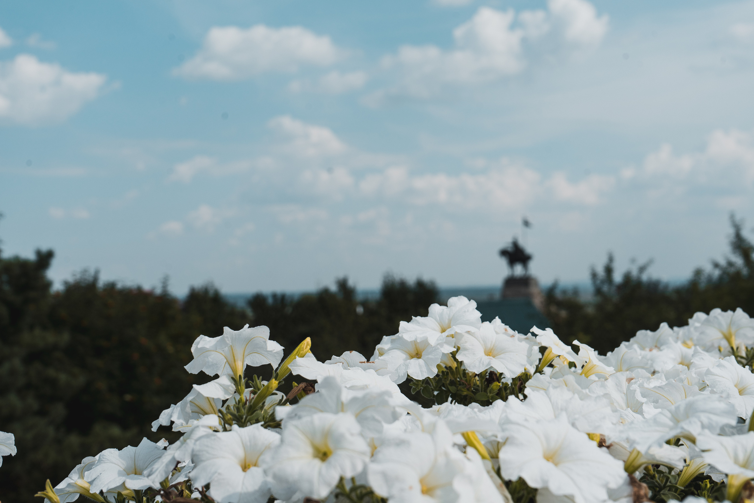 Стрит — фотография в Санкт-Петербурге. Портретный фотограф в Санкт-Петербурге Дори Милиева