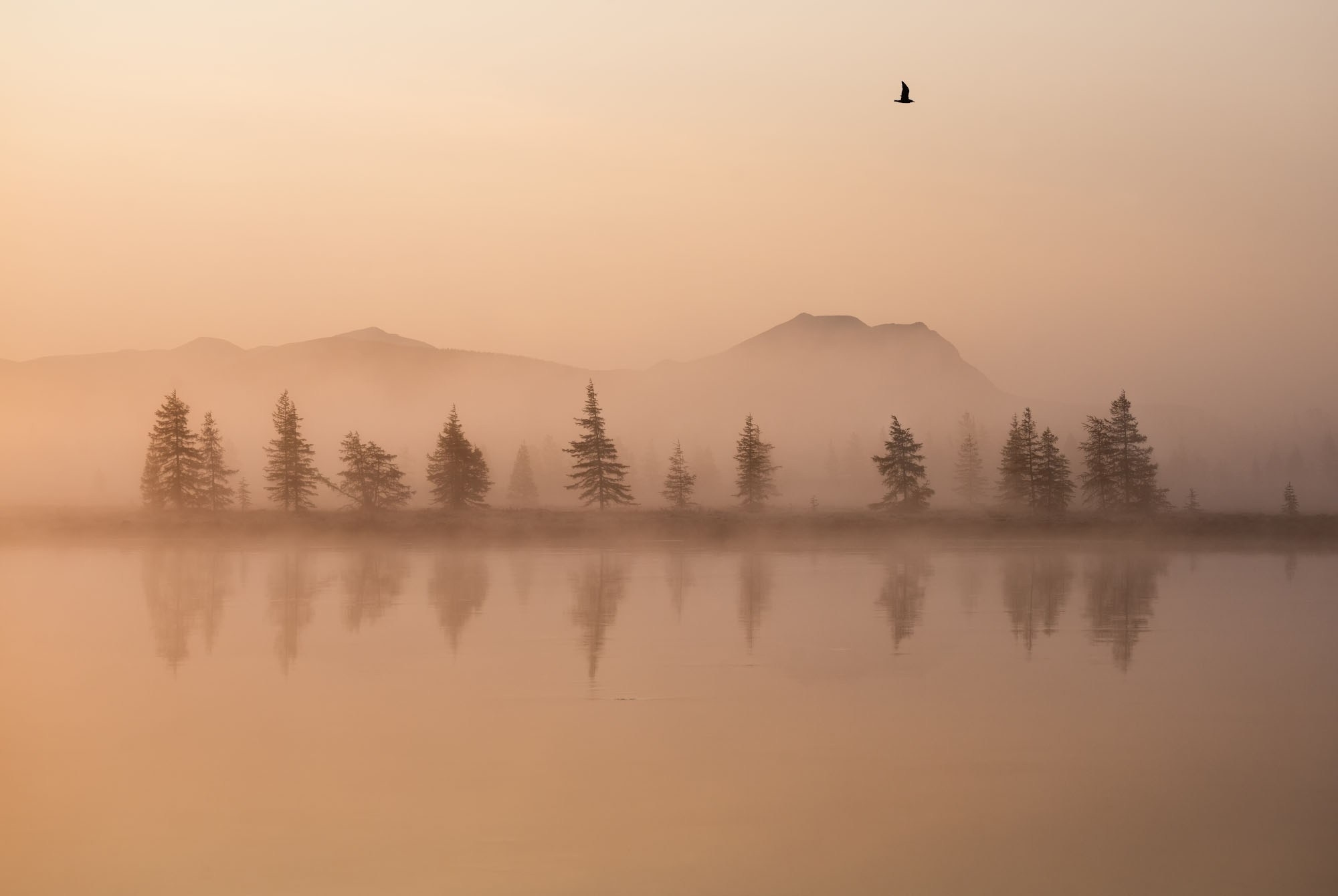 Фотографии Колыма