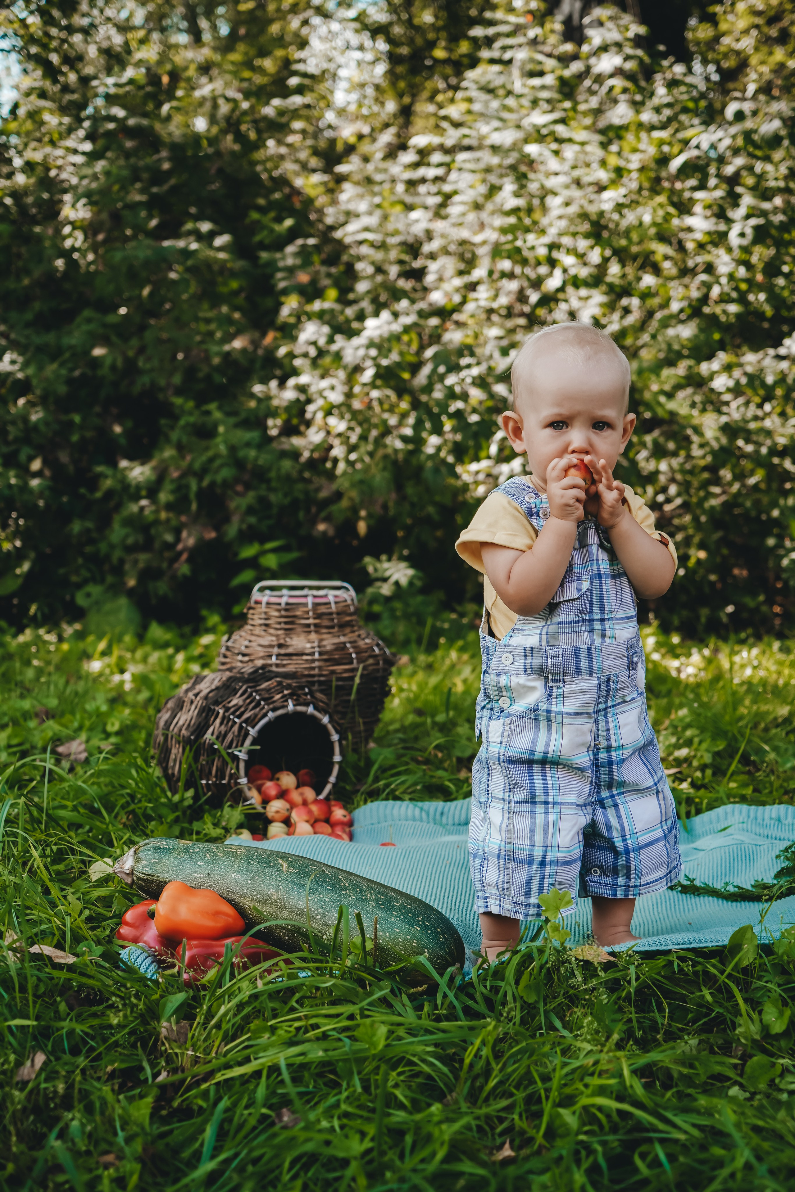 Аня и Рома: маленький фермер. Главная