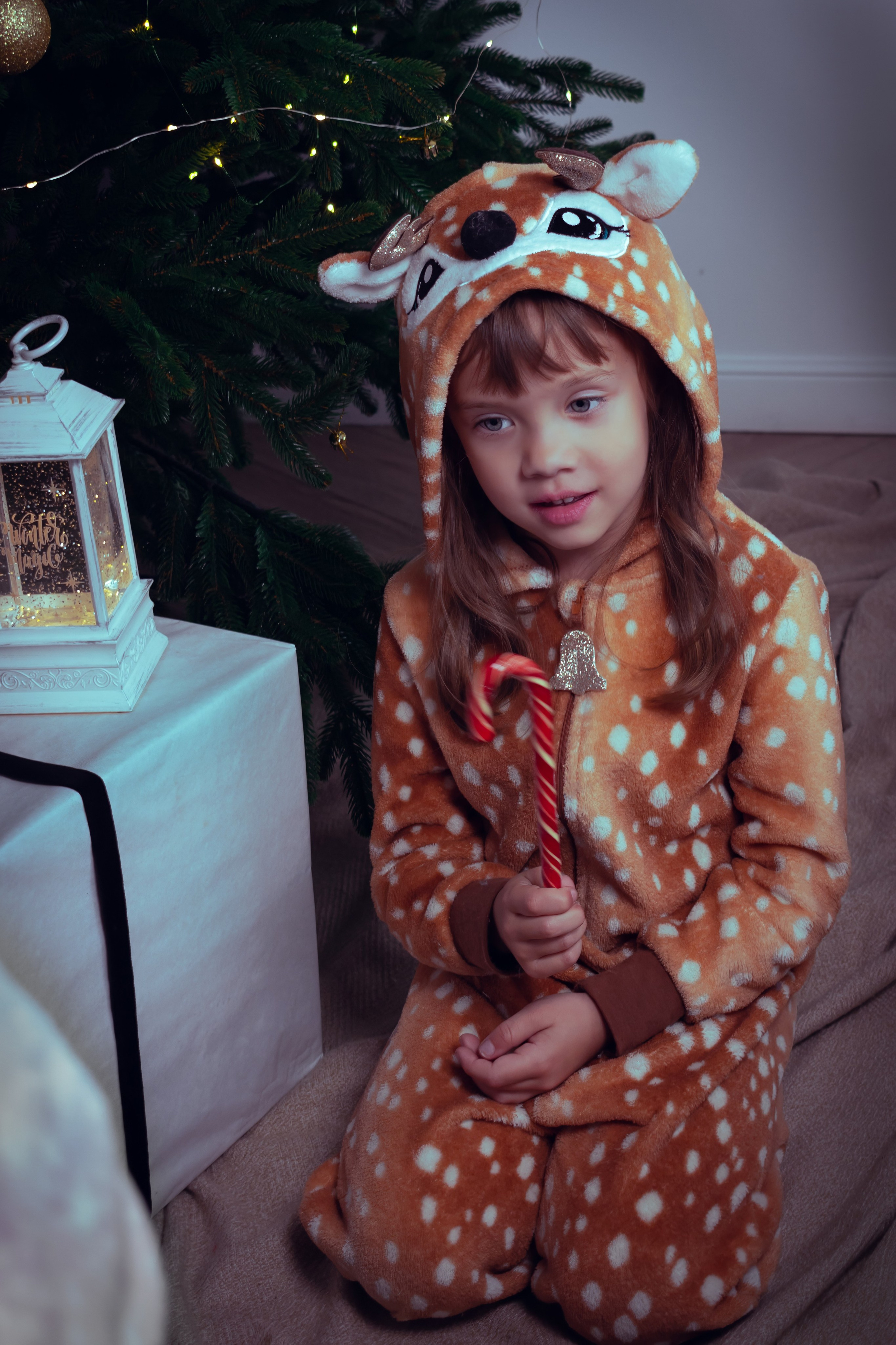 Новогодний оленёнок. Фотограф Зеленоград Москва