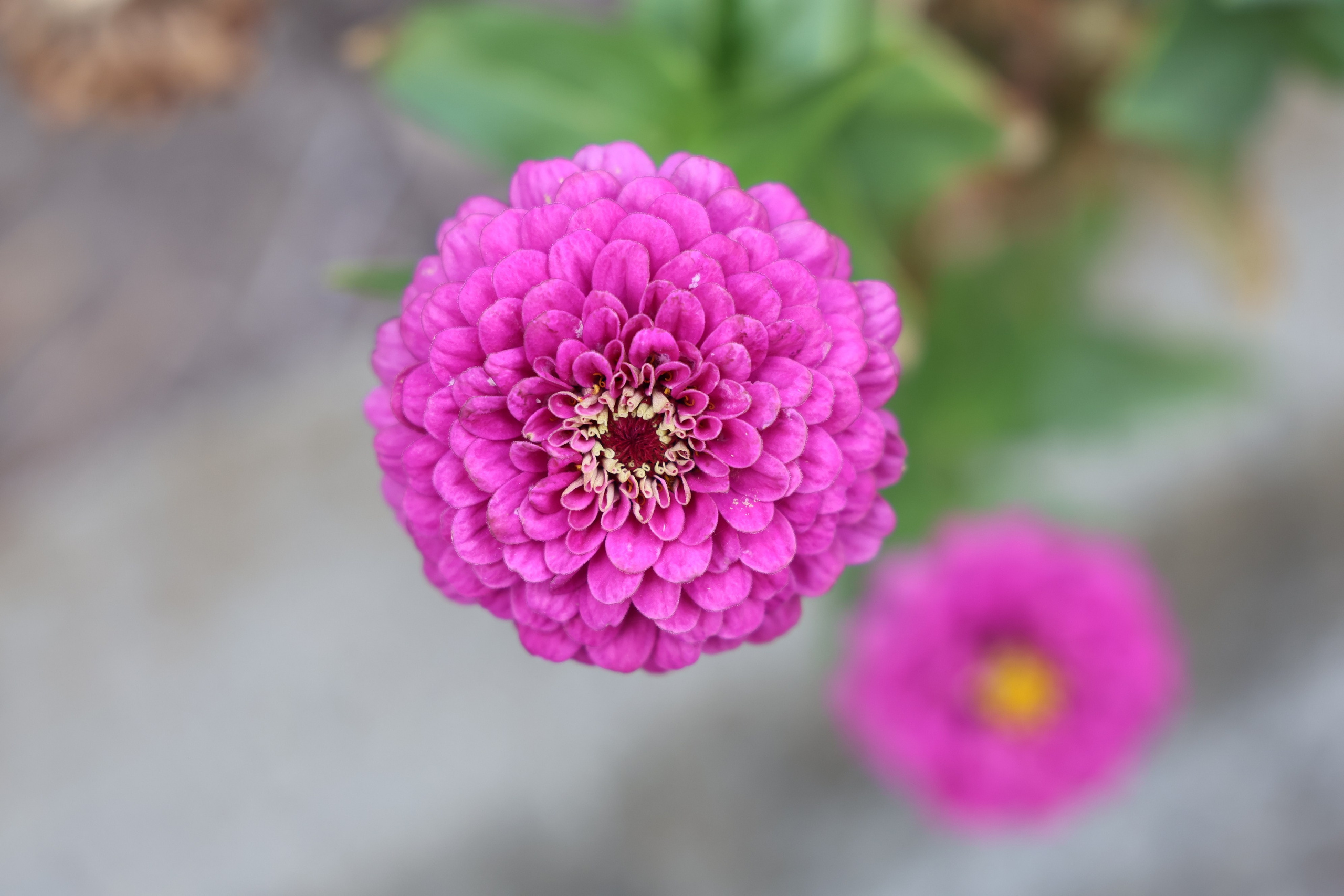 Ставрополец — Оздоровительный пансионат | с. Широкая Балка г. Новороссийск