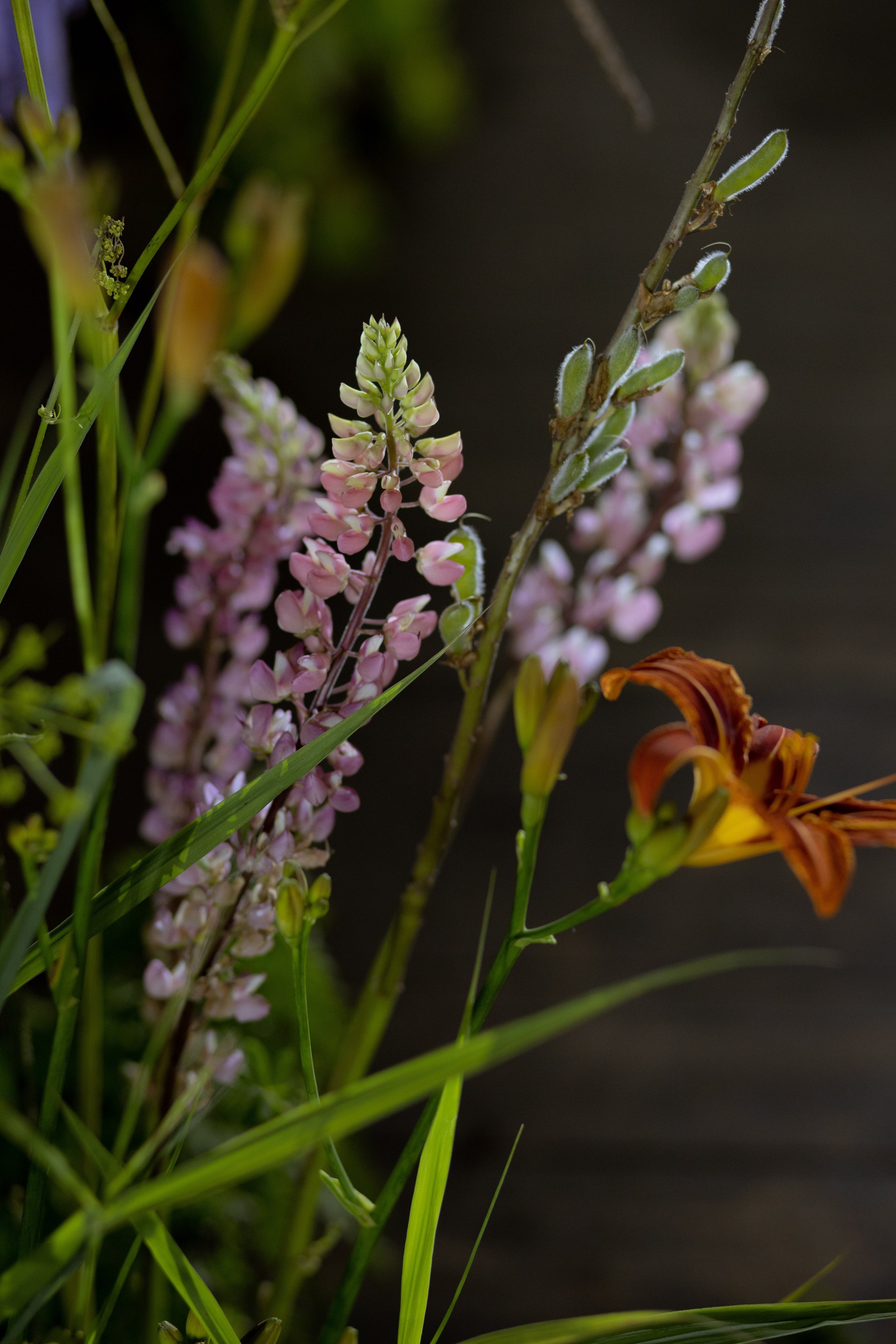 Павел & Полина. Оформление свадеб, декор свадеб Вера Маркова, Москва