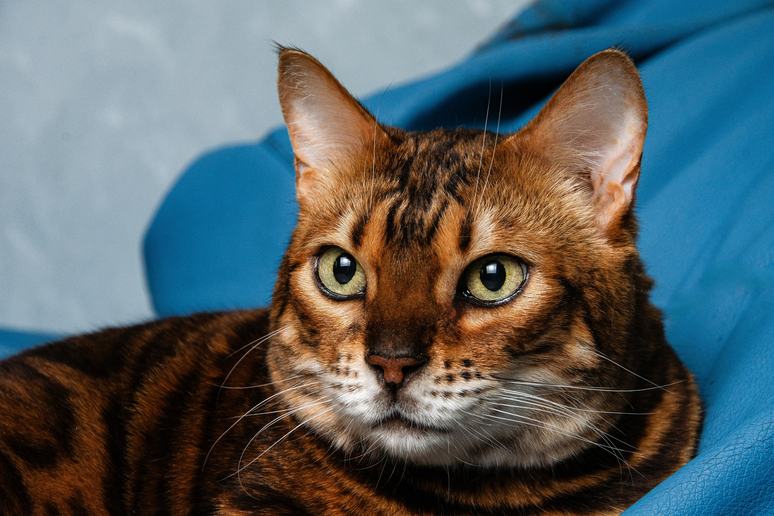 Фотосъемка мероприятий в Москве. Предметная съемка в Москве. Профессиональный предметный фотограф — Вячеслав Валерьевич