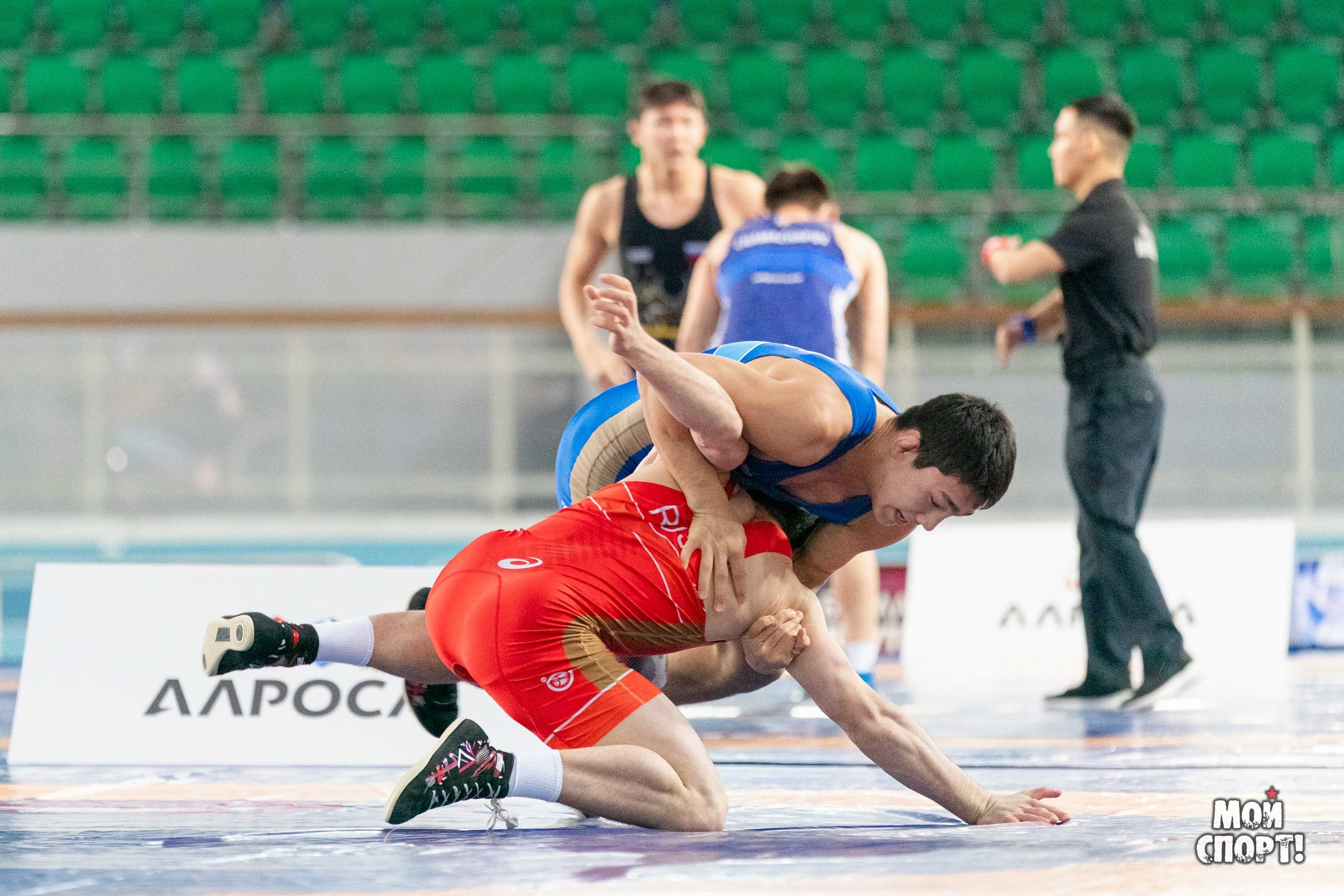 XII Международные соревнования по спортивной борьбе пам. Р. М. Дмитриева. Студия «Мой Спорт!» — все о спорте в Якутии