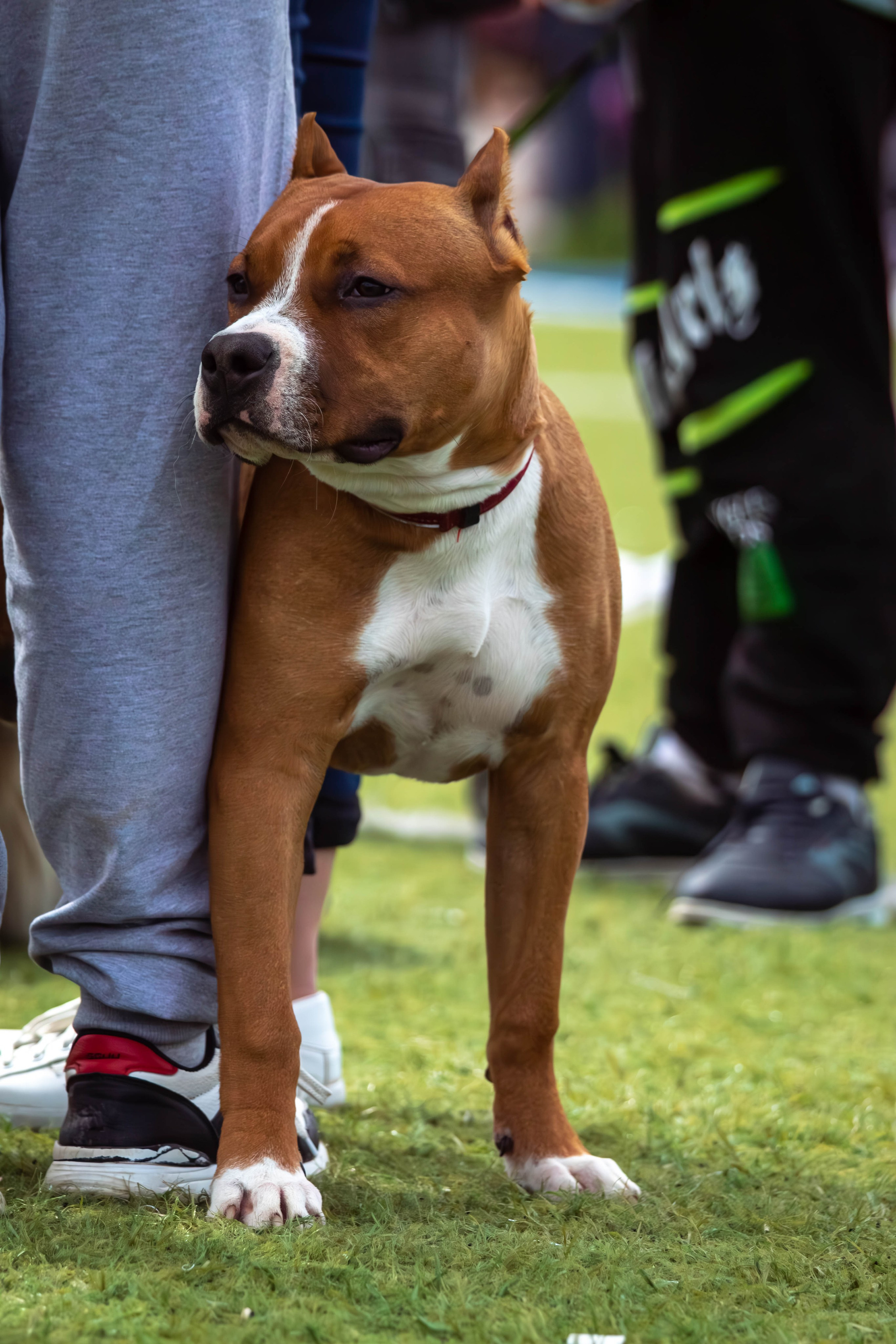 Репортажная съёмка Тула 