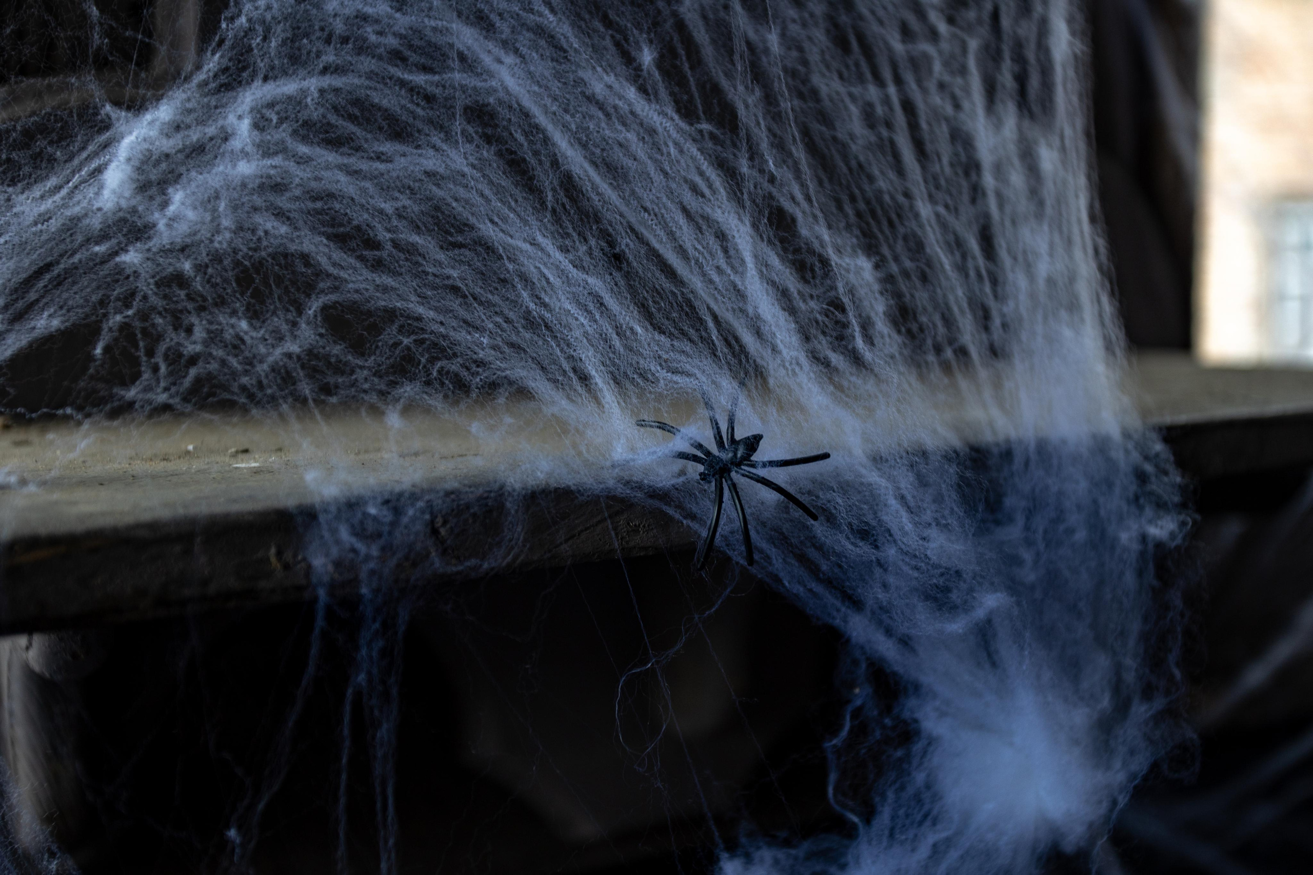 Киногород Piligrim Porto. Photographer Sonkina Tatiana (Tanya Ash)