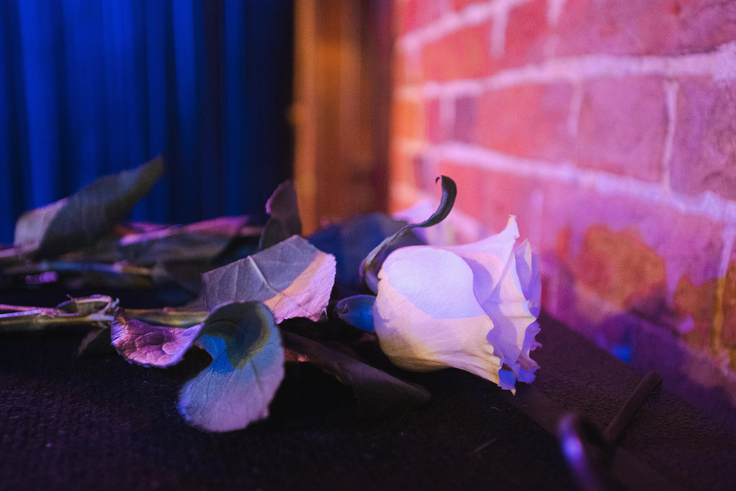 DIACAPELLA. Фотограф Сонкина Татьяна