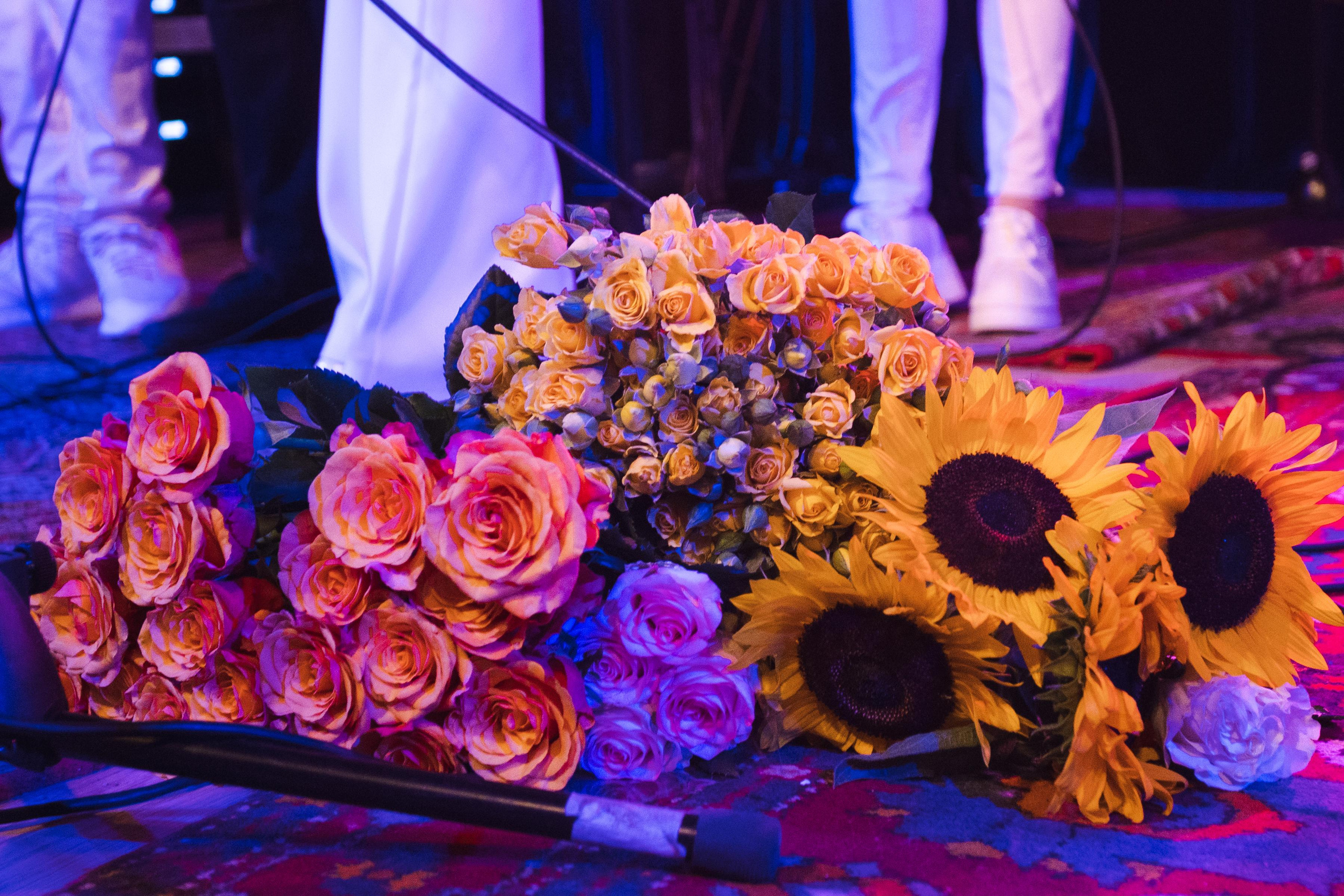 DIACAPELLA. Фотограф Сонкина Татьяна