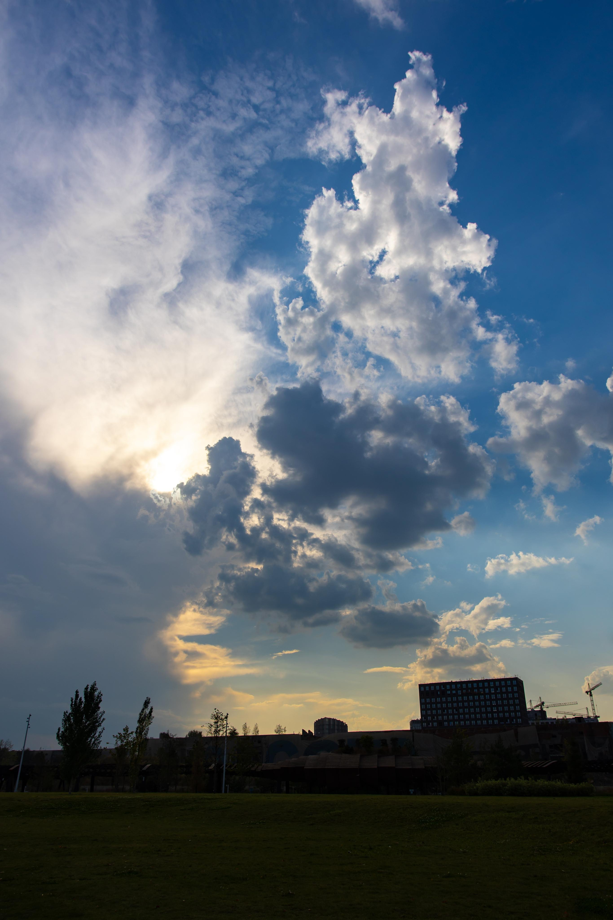 Парк Тюфелева роща в Москве
