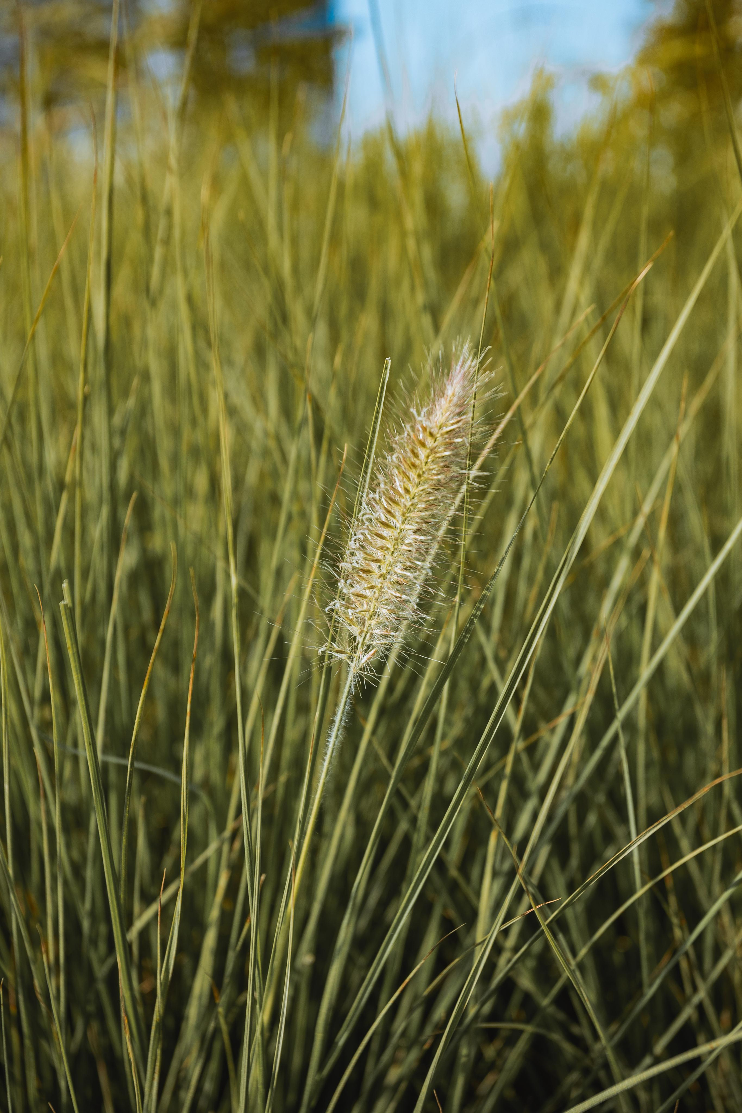 Парк Тюфелева роща в Москве