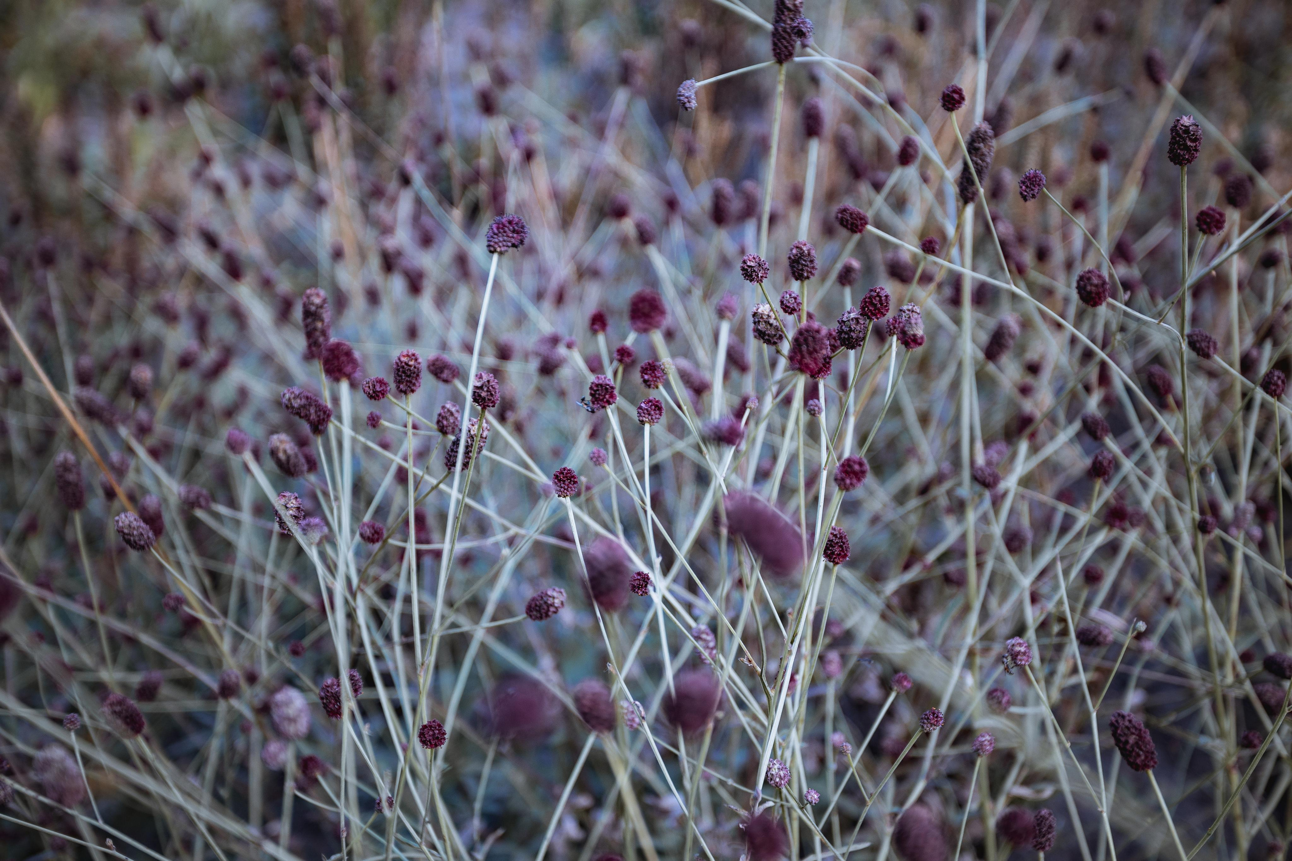 Парк Тюфелева роща в Москве
