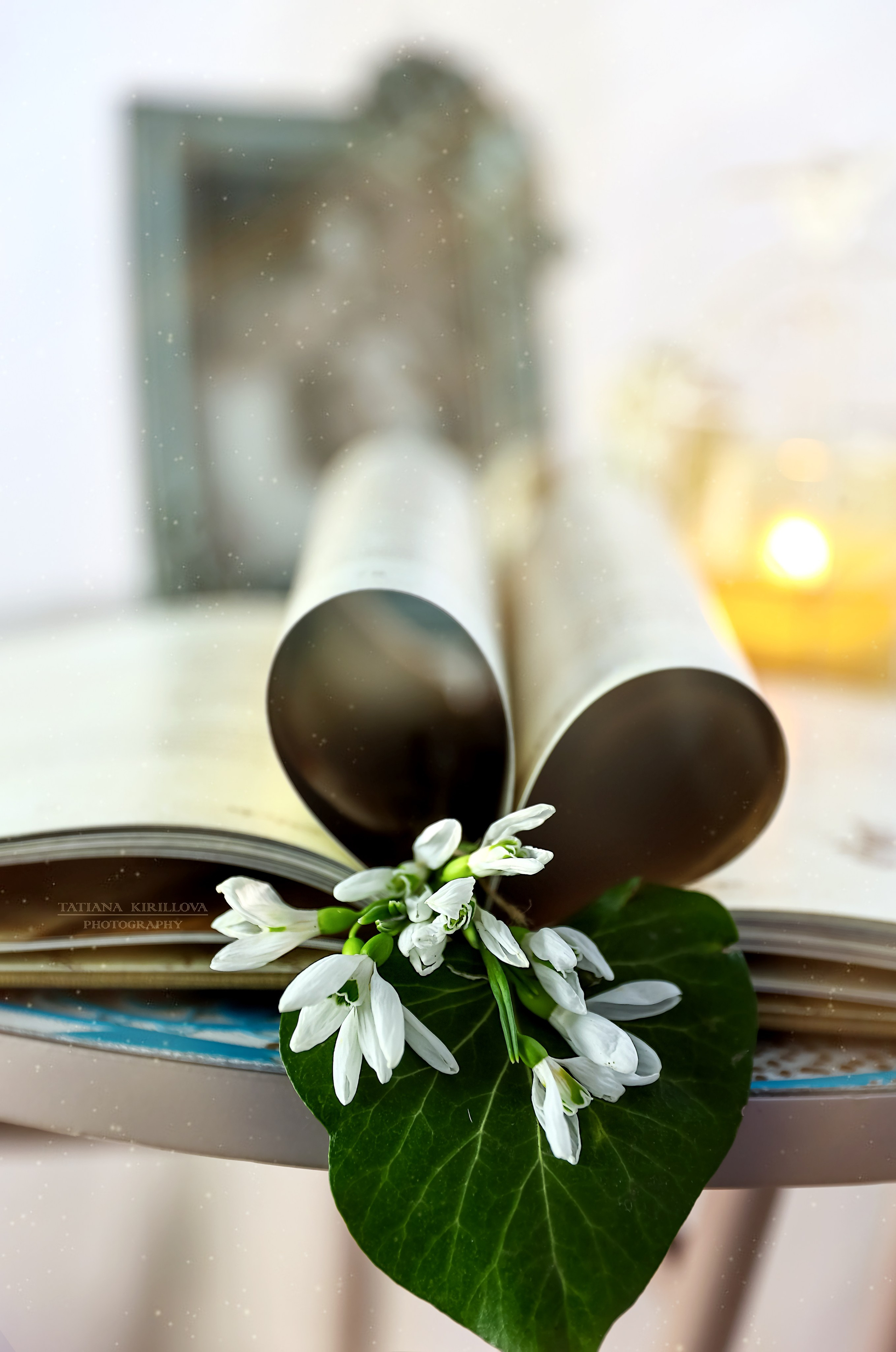 Предметная съемка, цветы, открытки. Фотограф — Татьяна Кириллова, г. Санкт-Петербург