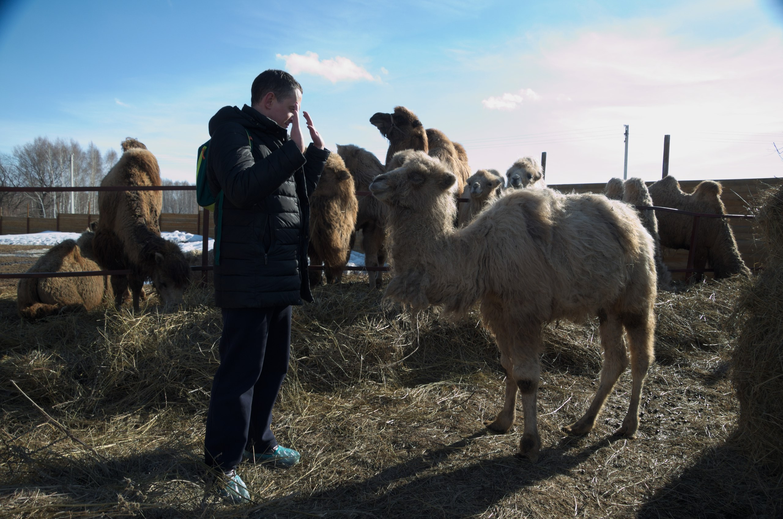 Казань | 24-26.03.2017. Галерея Фантим