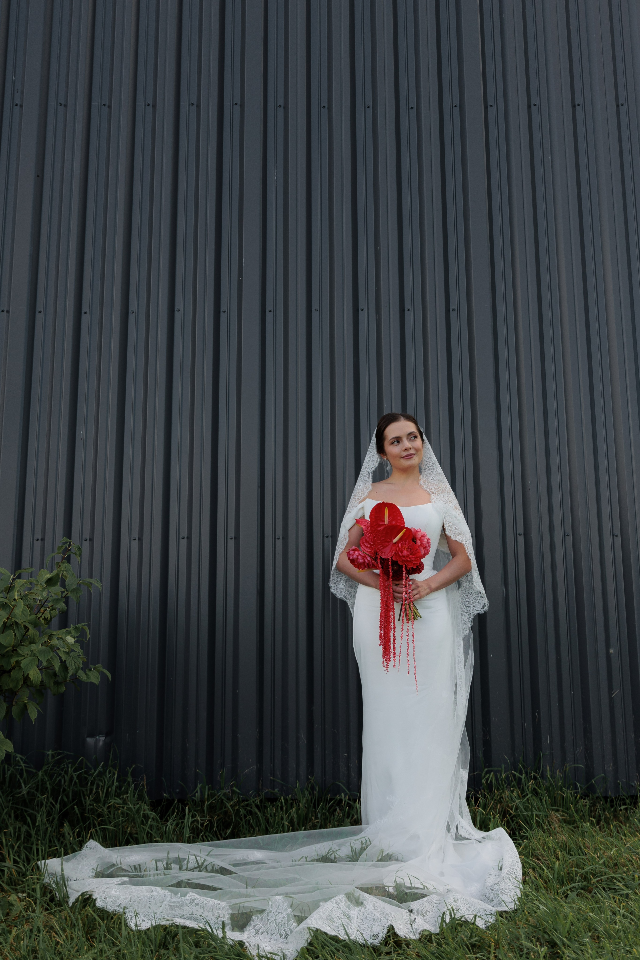 Лилия и Алексей. Фотограф Дарья Норкина