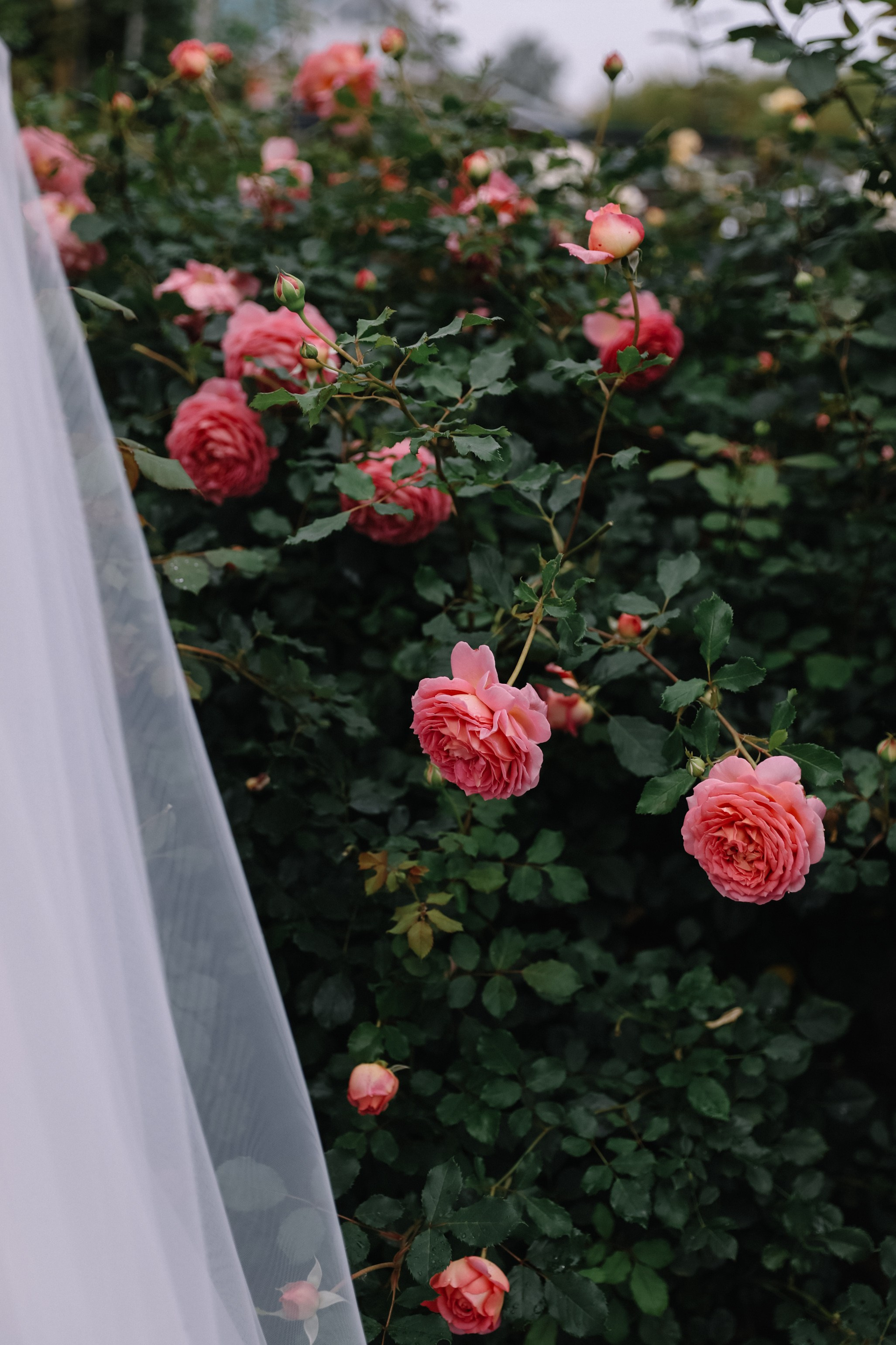 Юлия и Виктор. Свадебный и семейный фотограф в городе Пенза, Саранск, Ковылкино