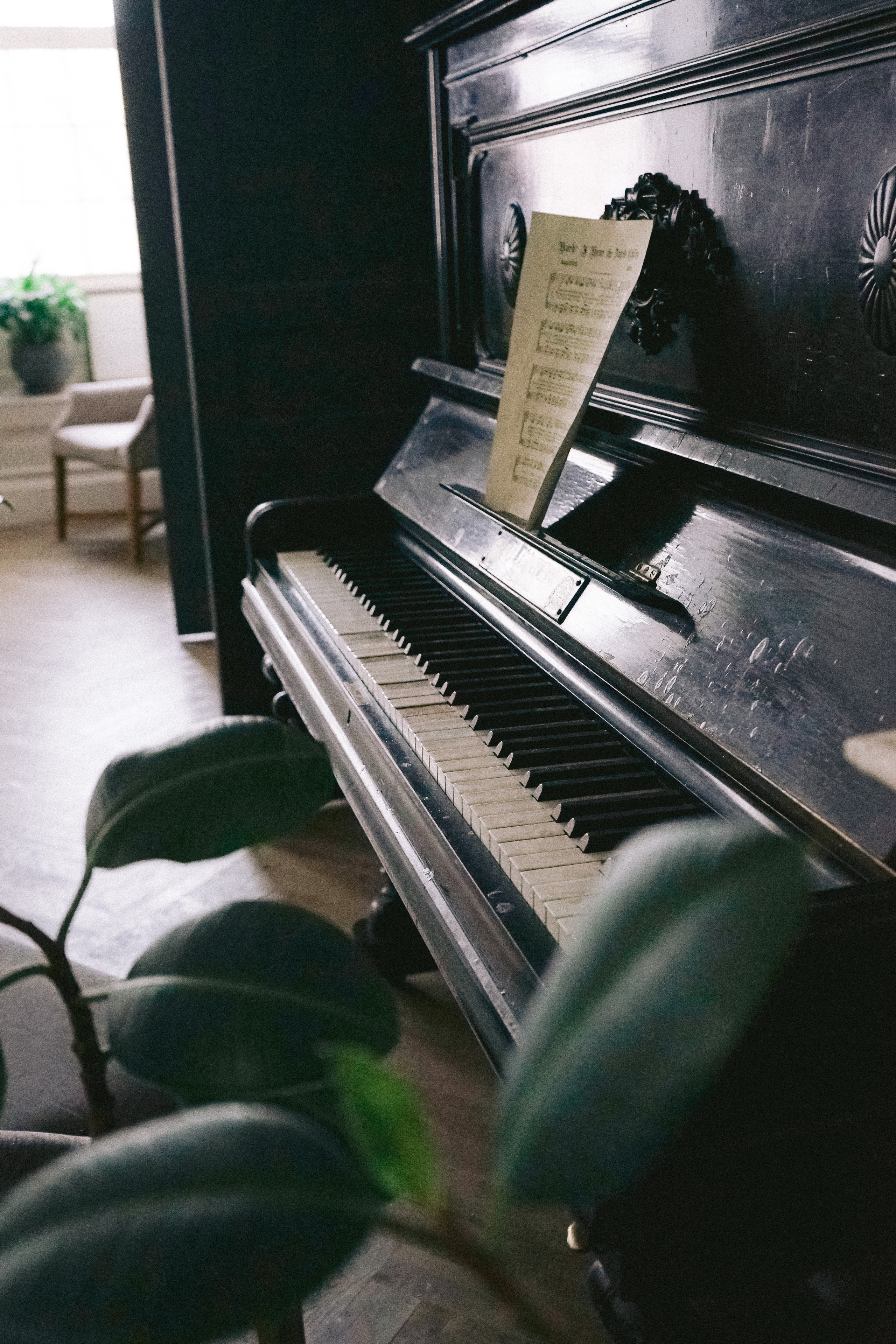 Fineart — Большой зал. Фотостудия Fineart — Новогодние фотосессии Тюмень