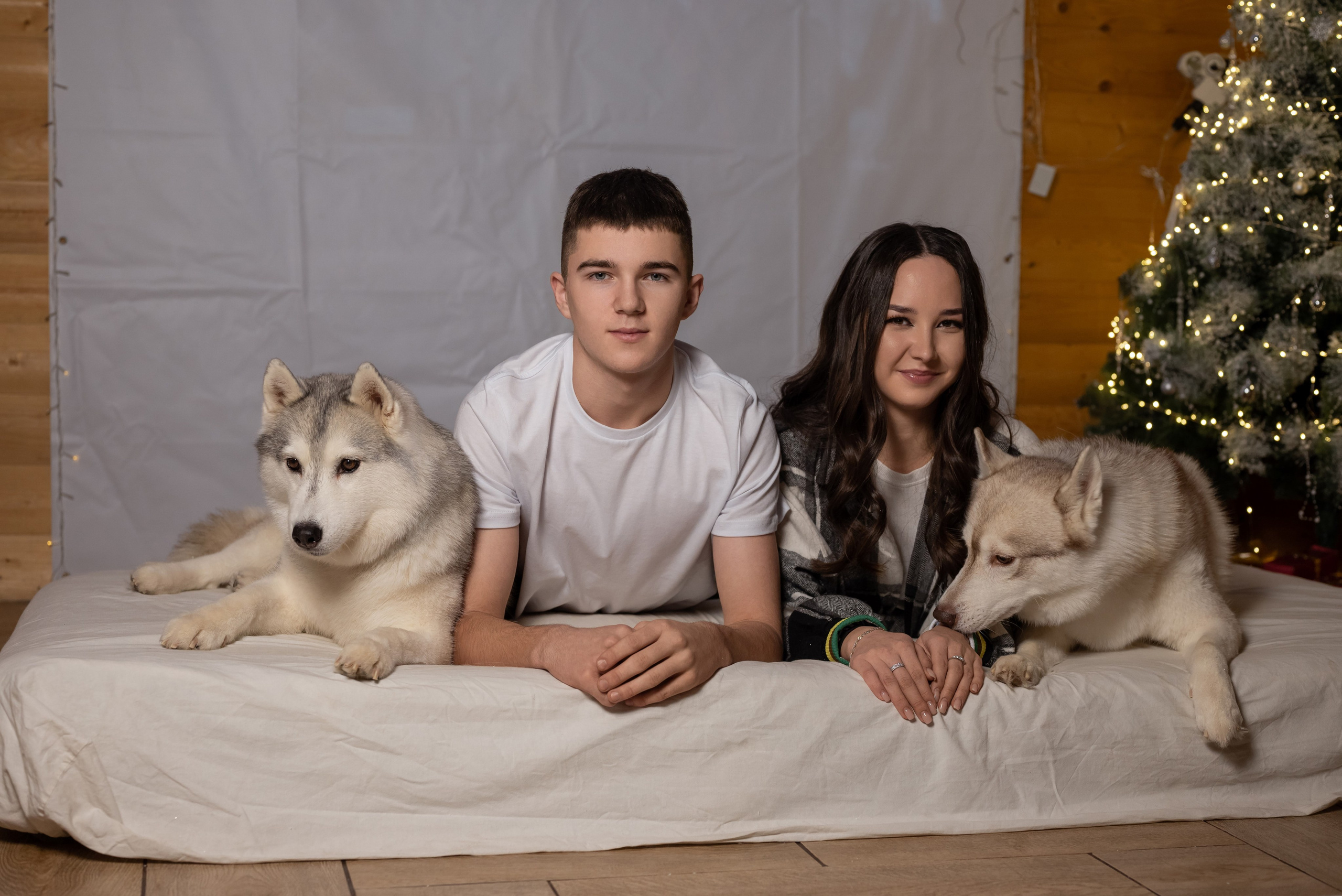 Фотопроект с хаски в частном доме. Фотограф в городе Салават