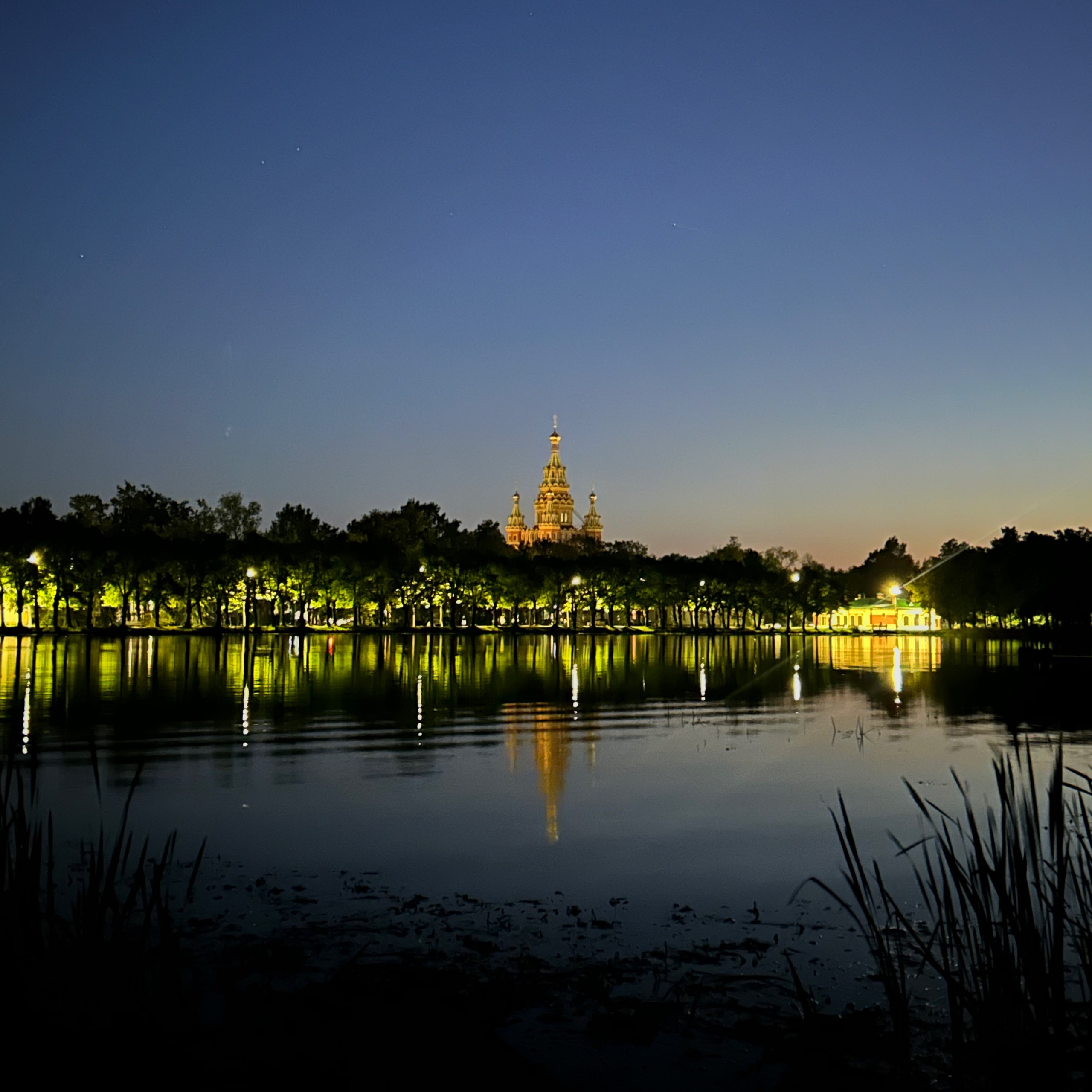 Лето, ах лето. Фотокружок «Видоискатель» ГБОУ СОШ № 291