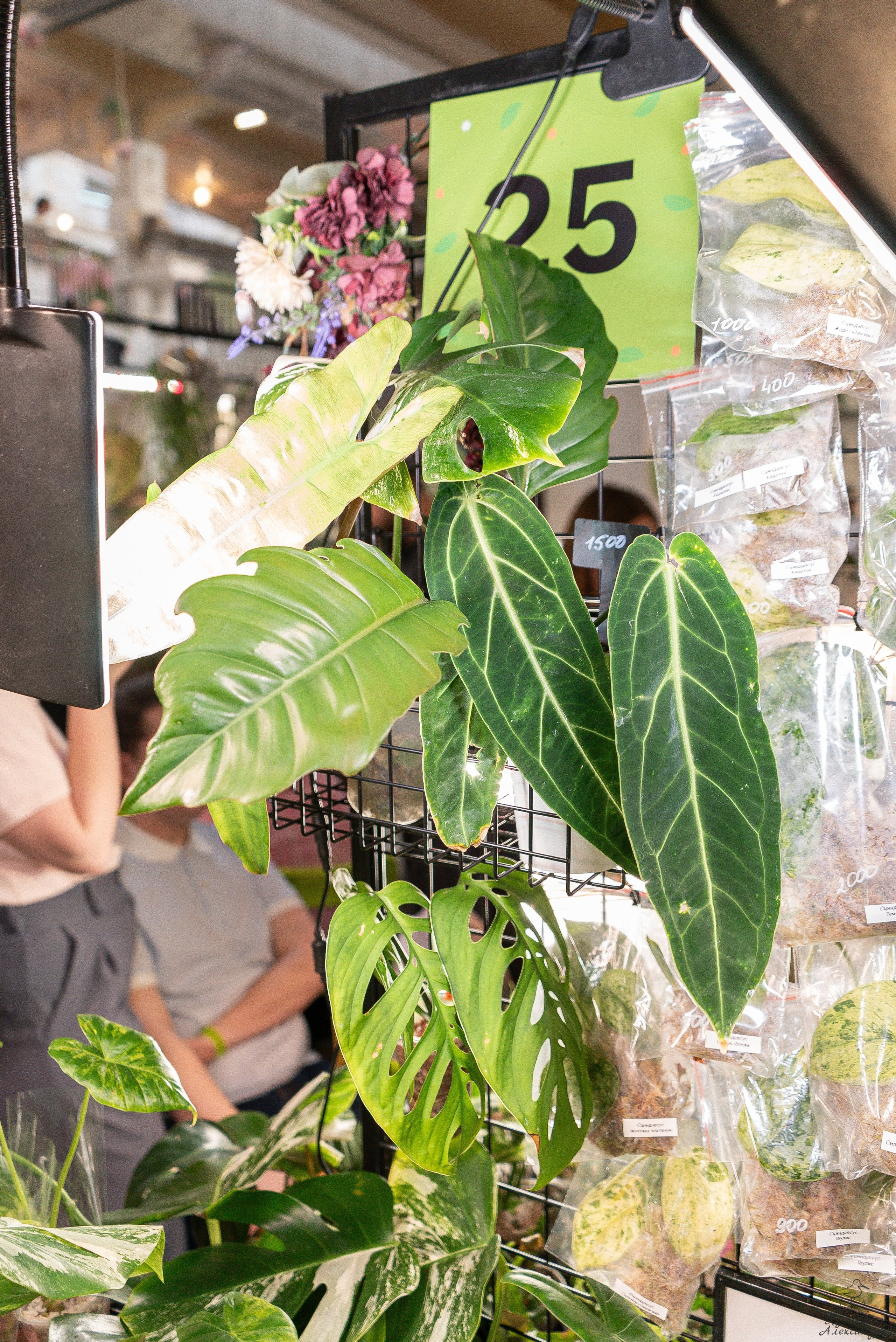 Гроубокс Артплей апрель. Александра Куликова фотограф, Москва