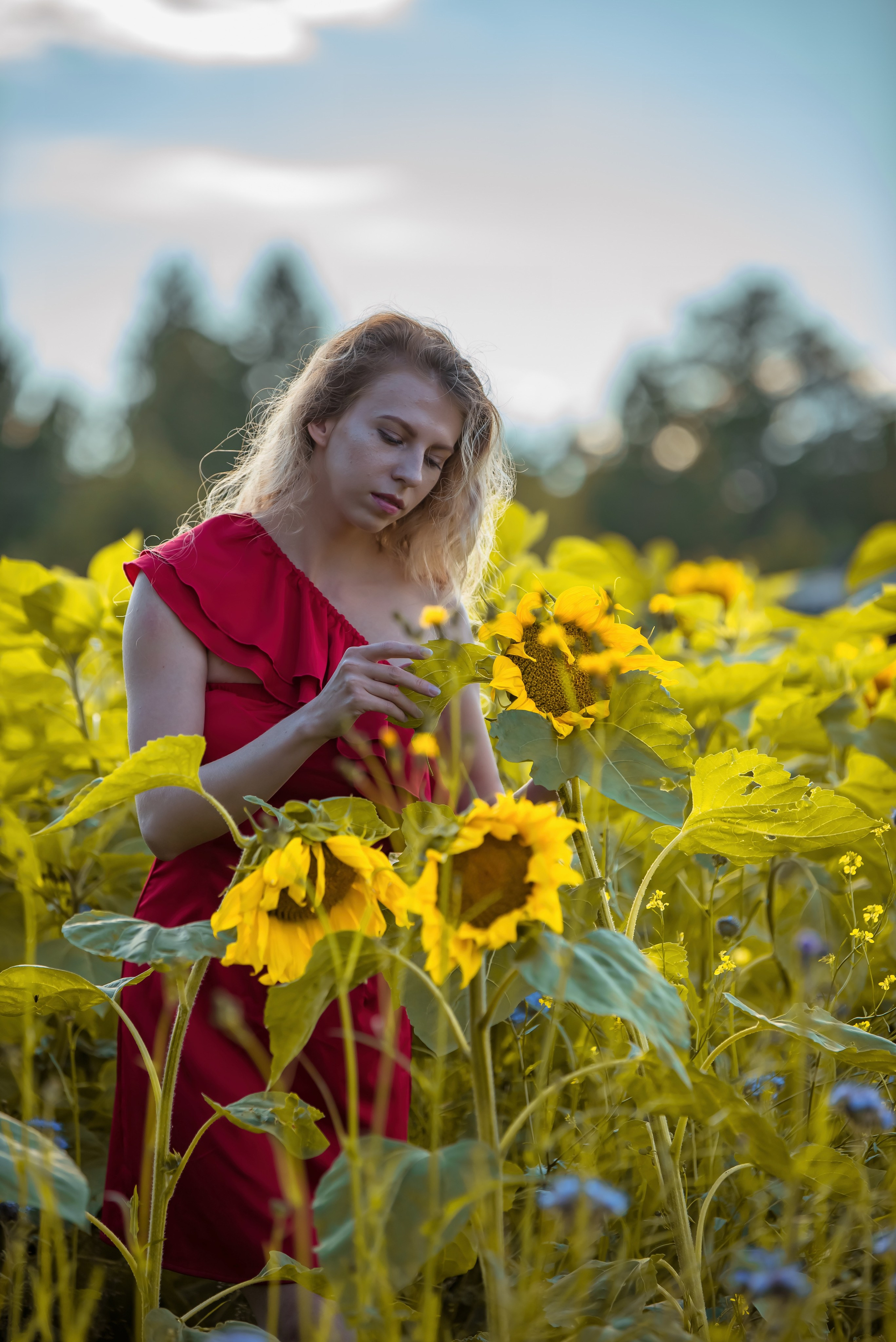 Девушка в красном платье в подсолнуховом поле. Ольга Ли свадебный семейный фотограф Иркутск