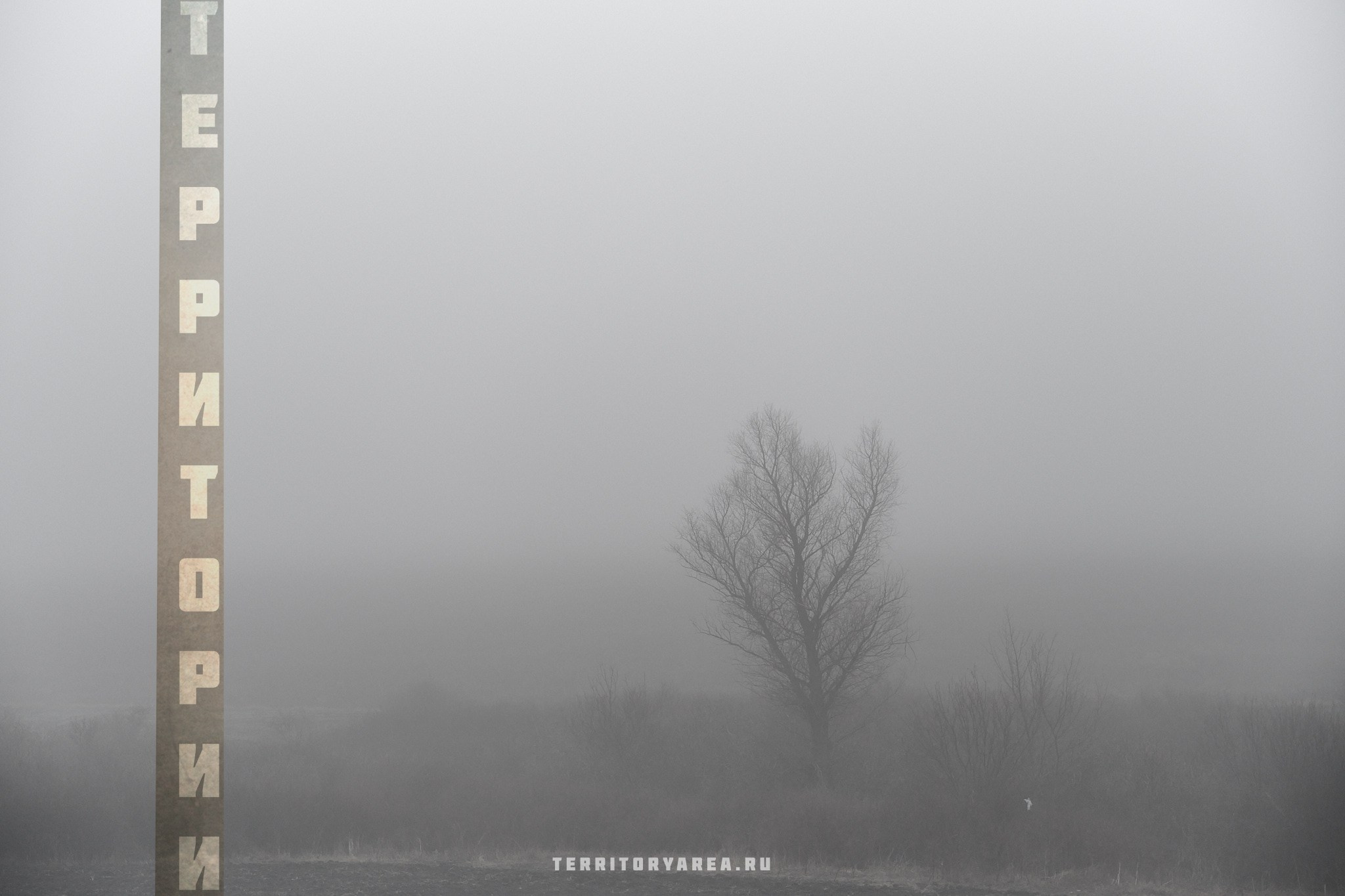 Открытки фотопроекта «Территории». Фотопроект «Территории»