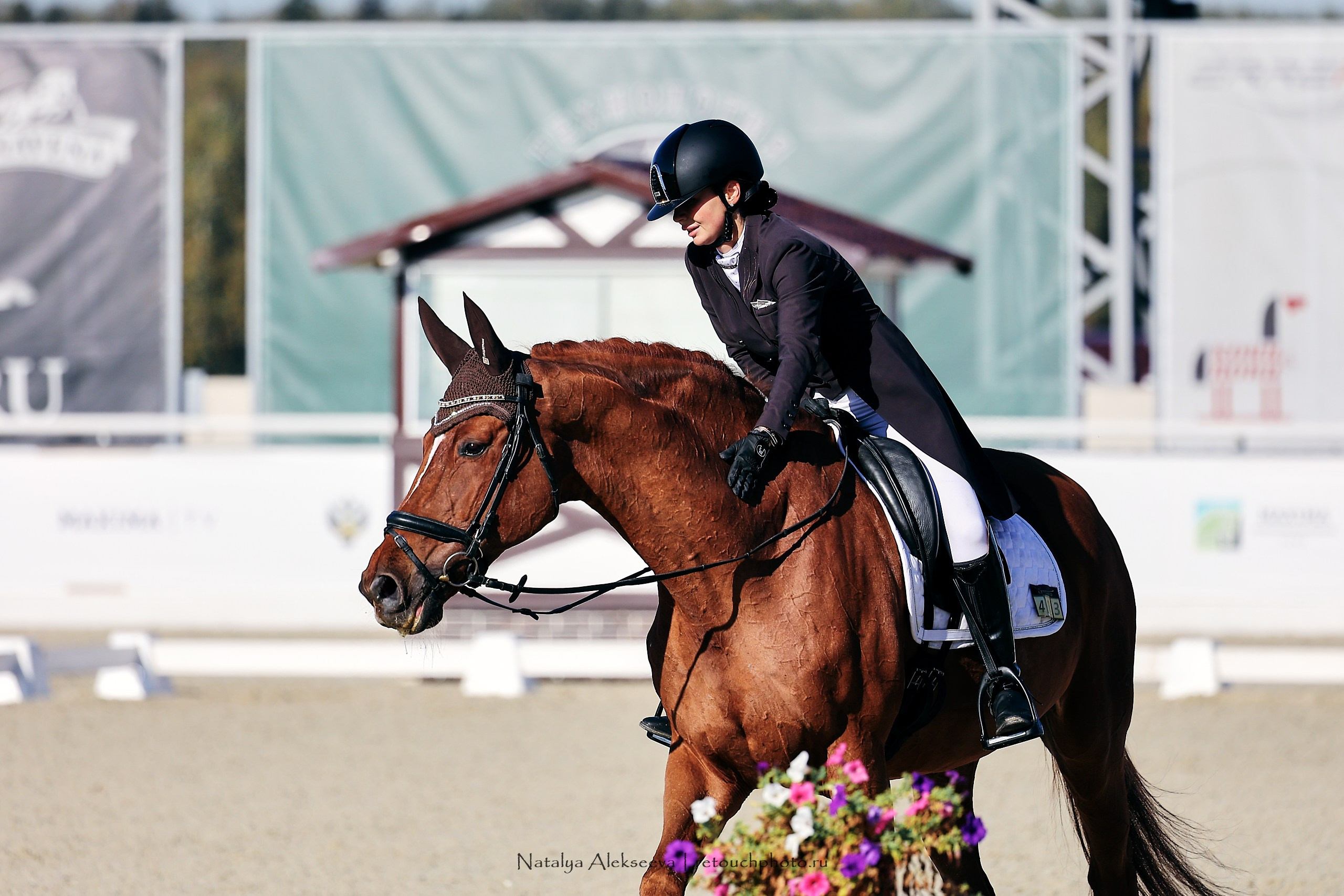 Чемпионат и Первенство России по выездке, Maxima Stables | 09'2023. Репортажный фотограф и ретушер в Москве Наталья Алексеева