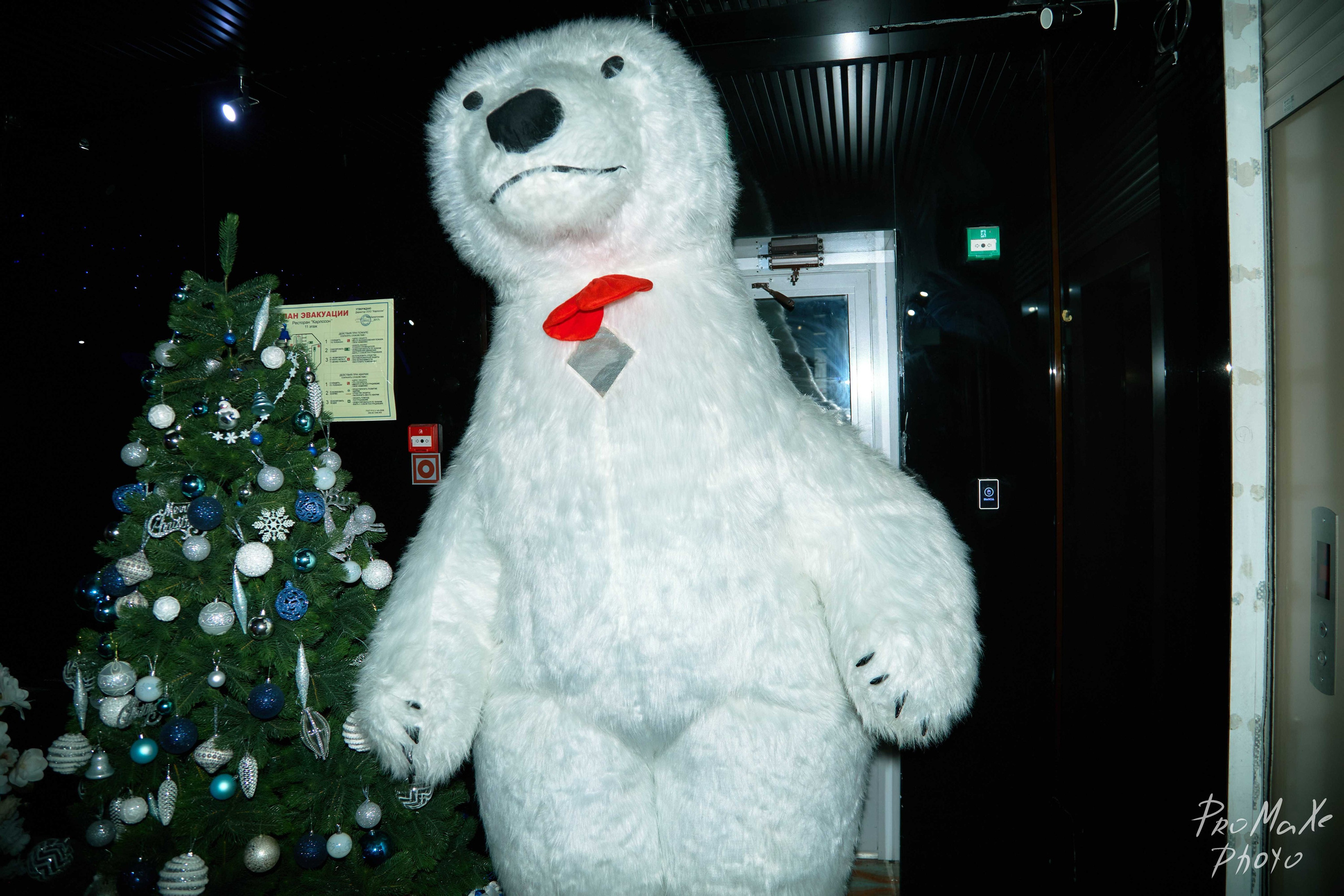 Зал КРАСА МАСС-МЕДИА ЧУВАШИИ. Владимир Суздалов (ProMaXe) — Портретный фотограф, тематические фотосессии в Чебоксарах