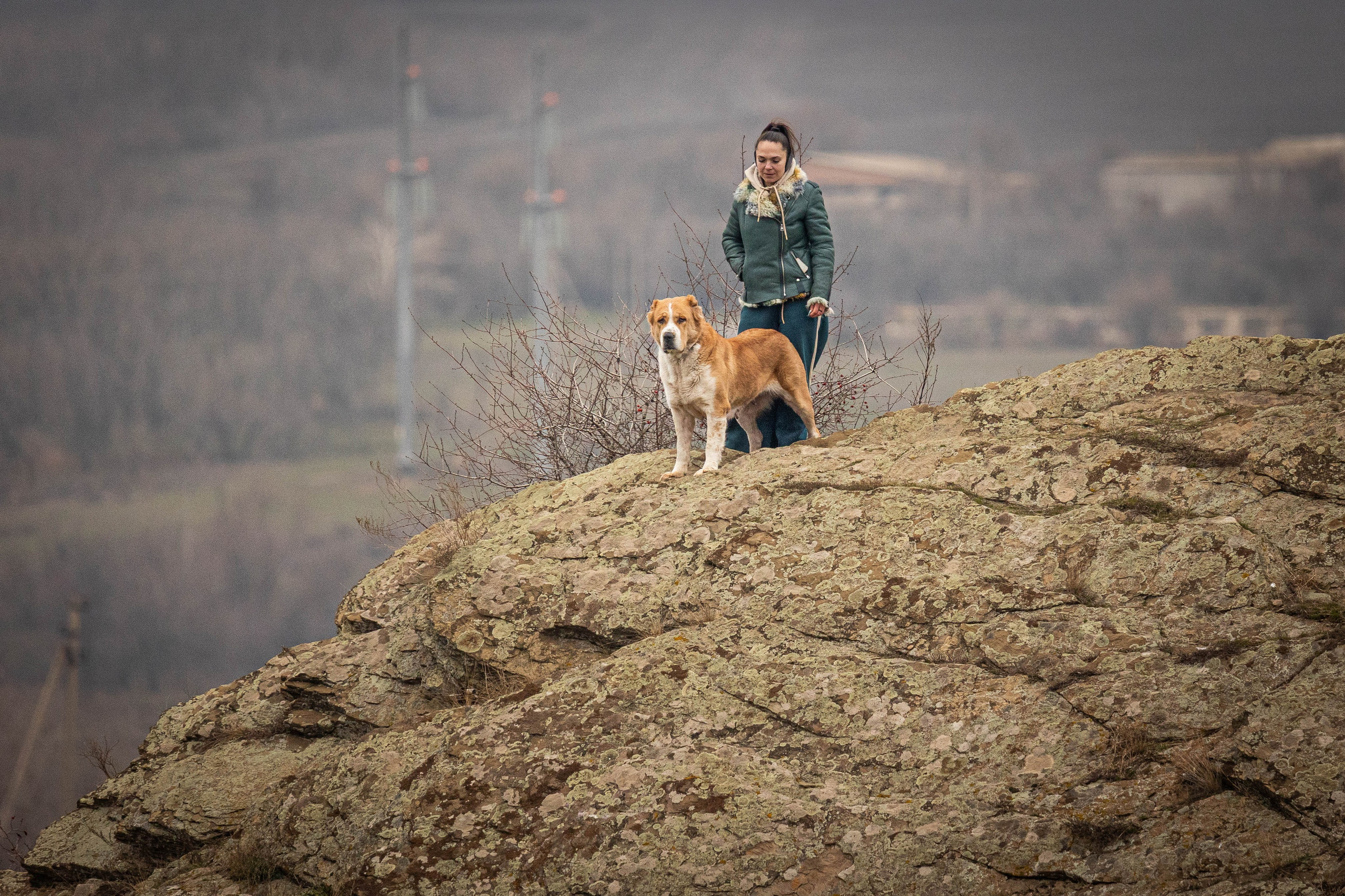 Пальма. Фотограф-АниМалист Анна Абрамова