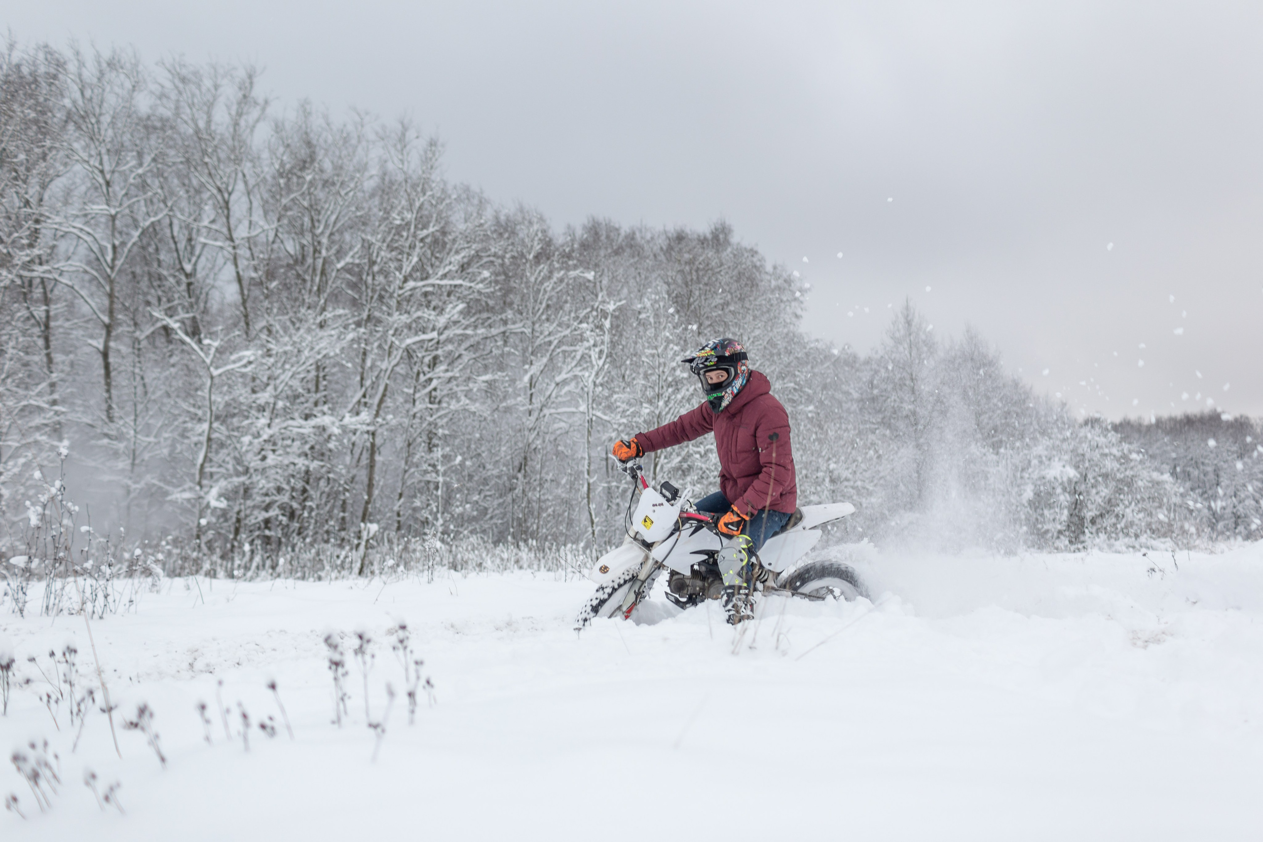 Виктор. Гатчина. Семейный фотограф в Санкт-Петербурге