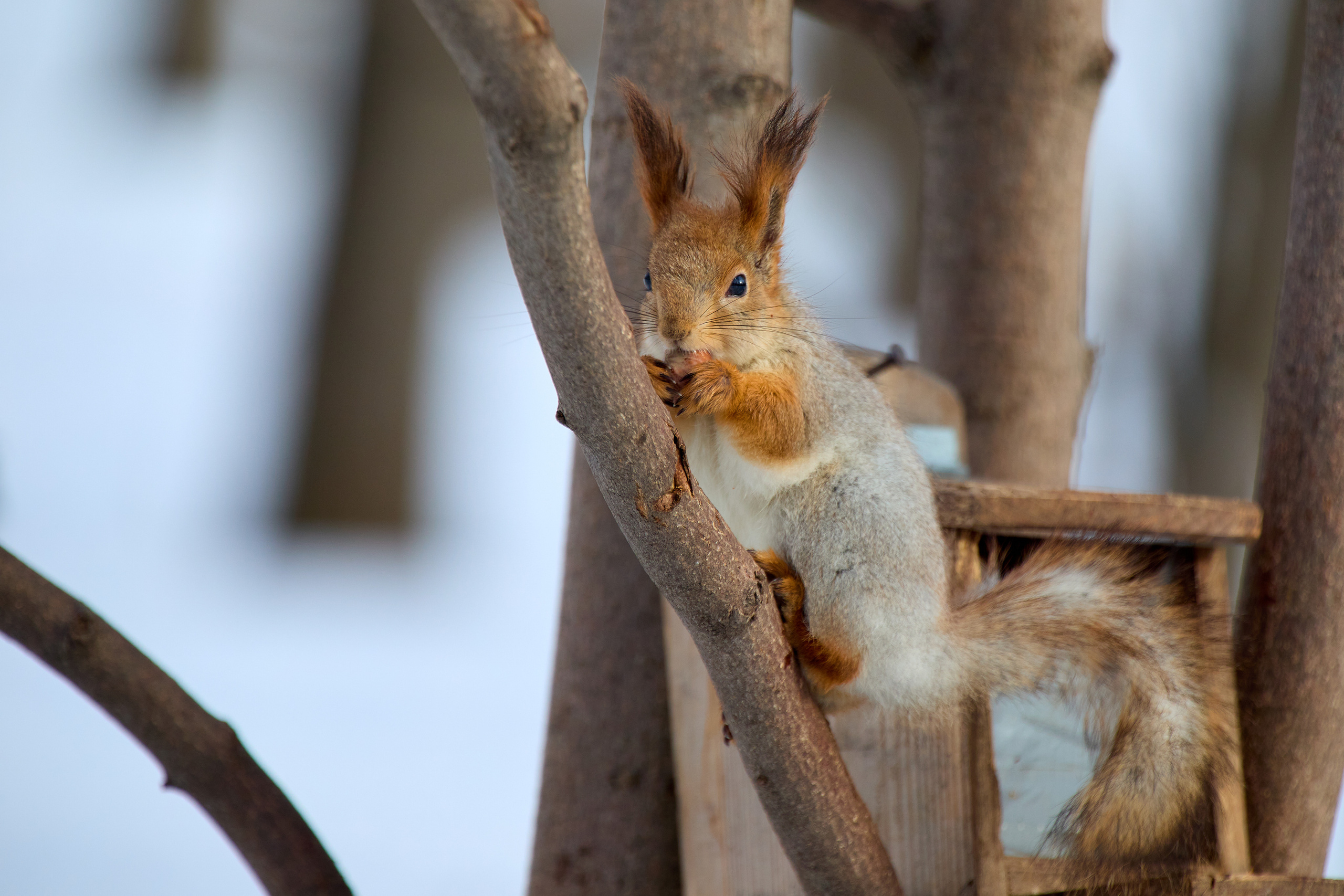 Фотопрогулка. Репортажный фотограф в Самаре