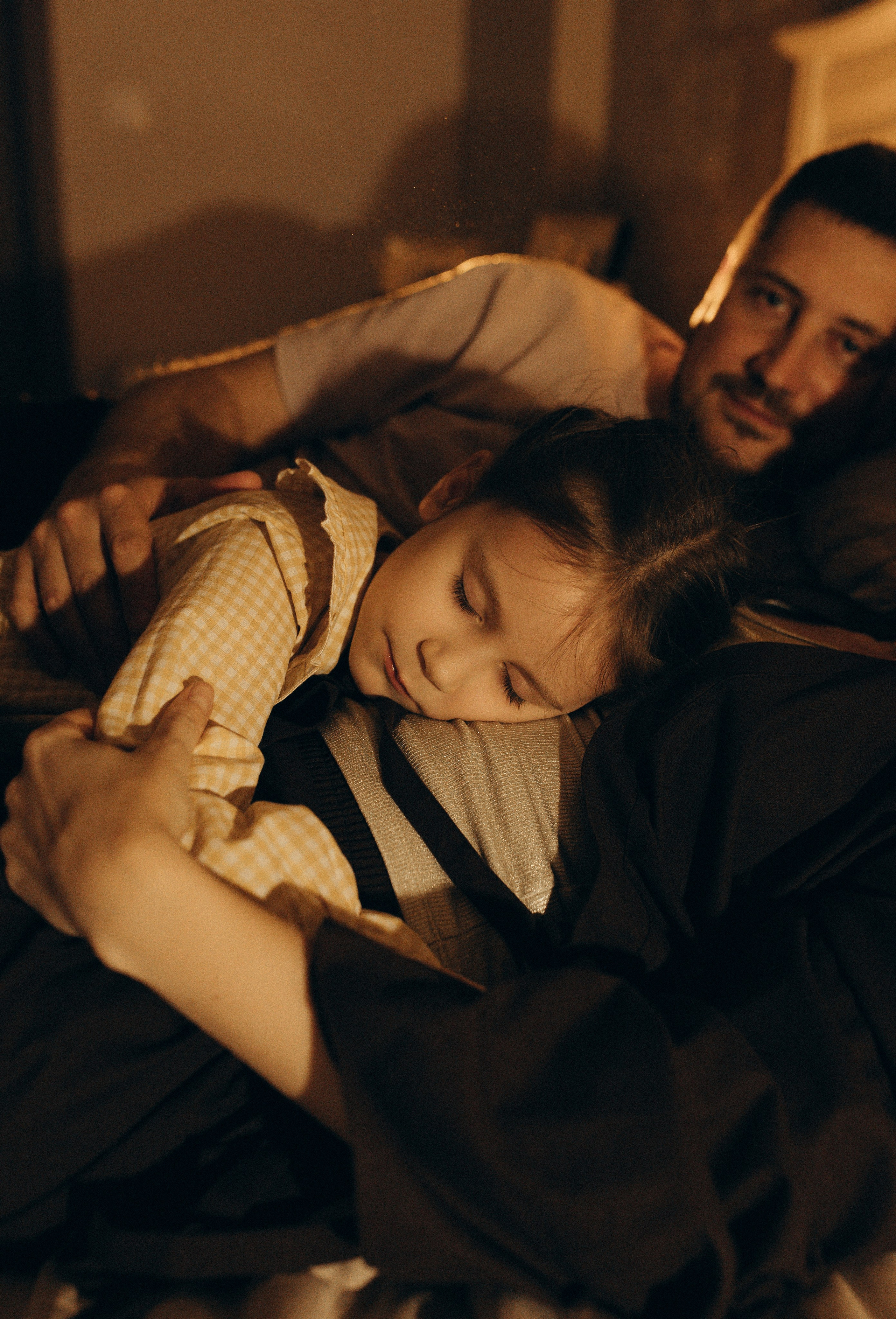 Домашняя история. Meryfotoidea