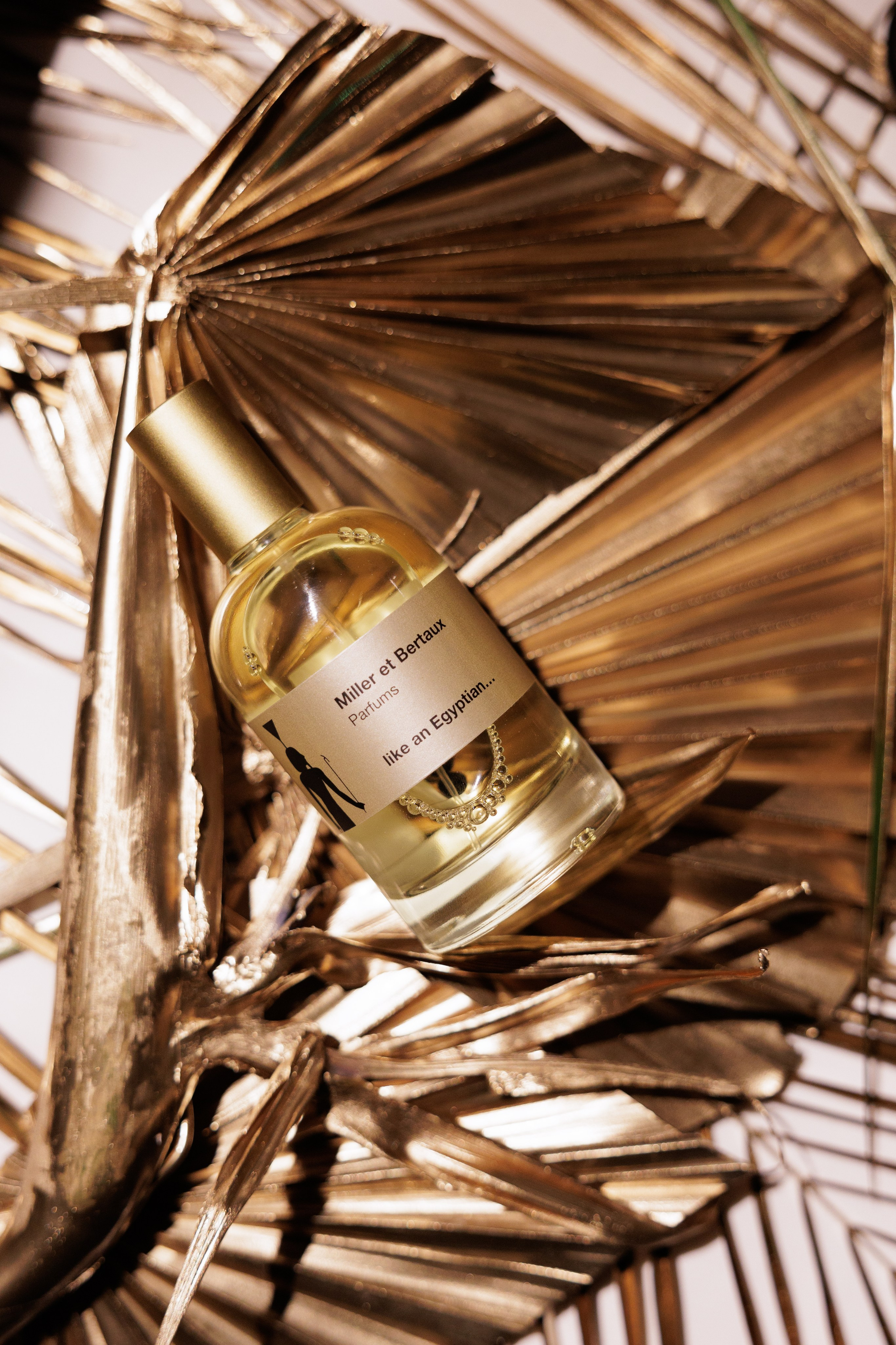 Miller et Bertaux. Светский фотограф — Анисина Ирина