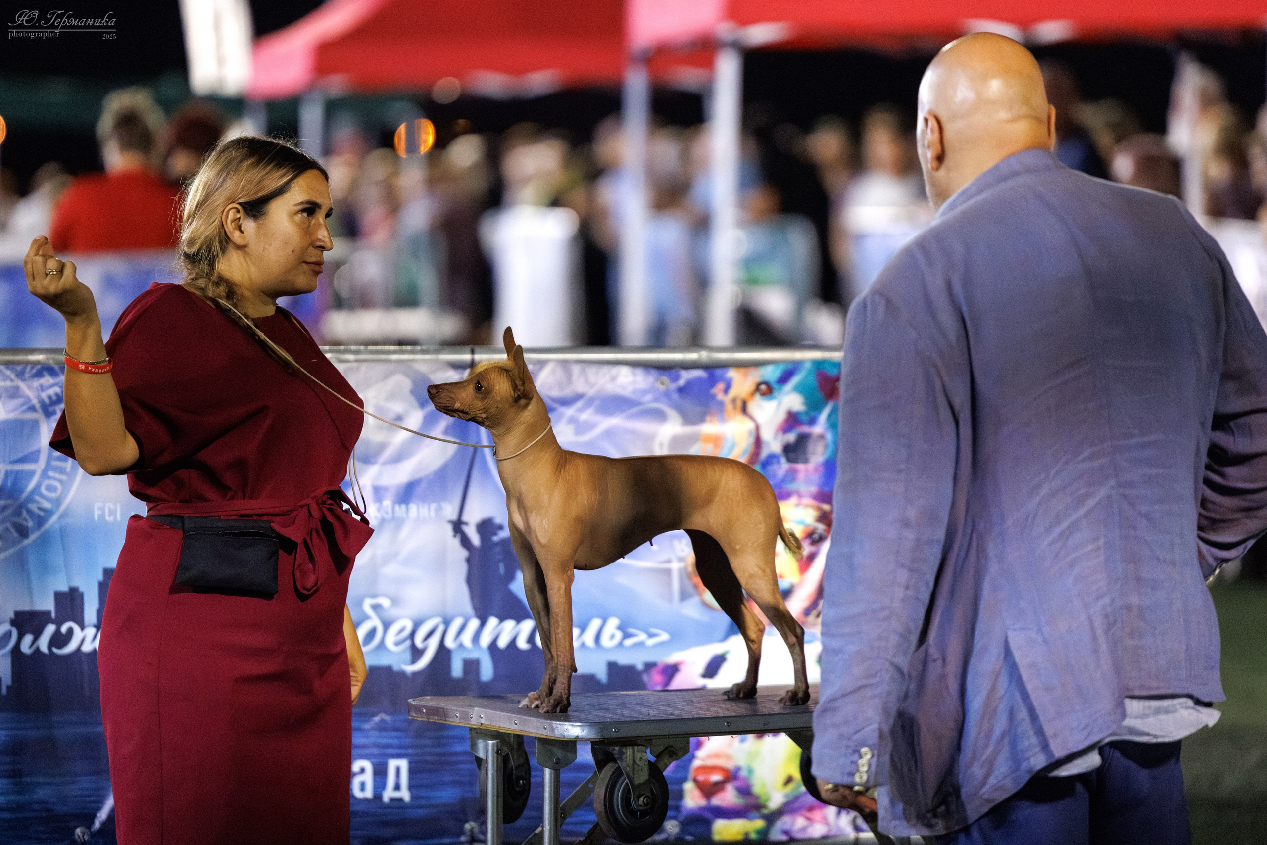 Калининград 25-27.07 Волгоград 1-3.08 2025. Фотограф-анималист Юлия Германика