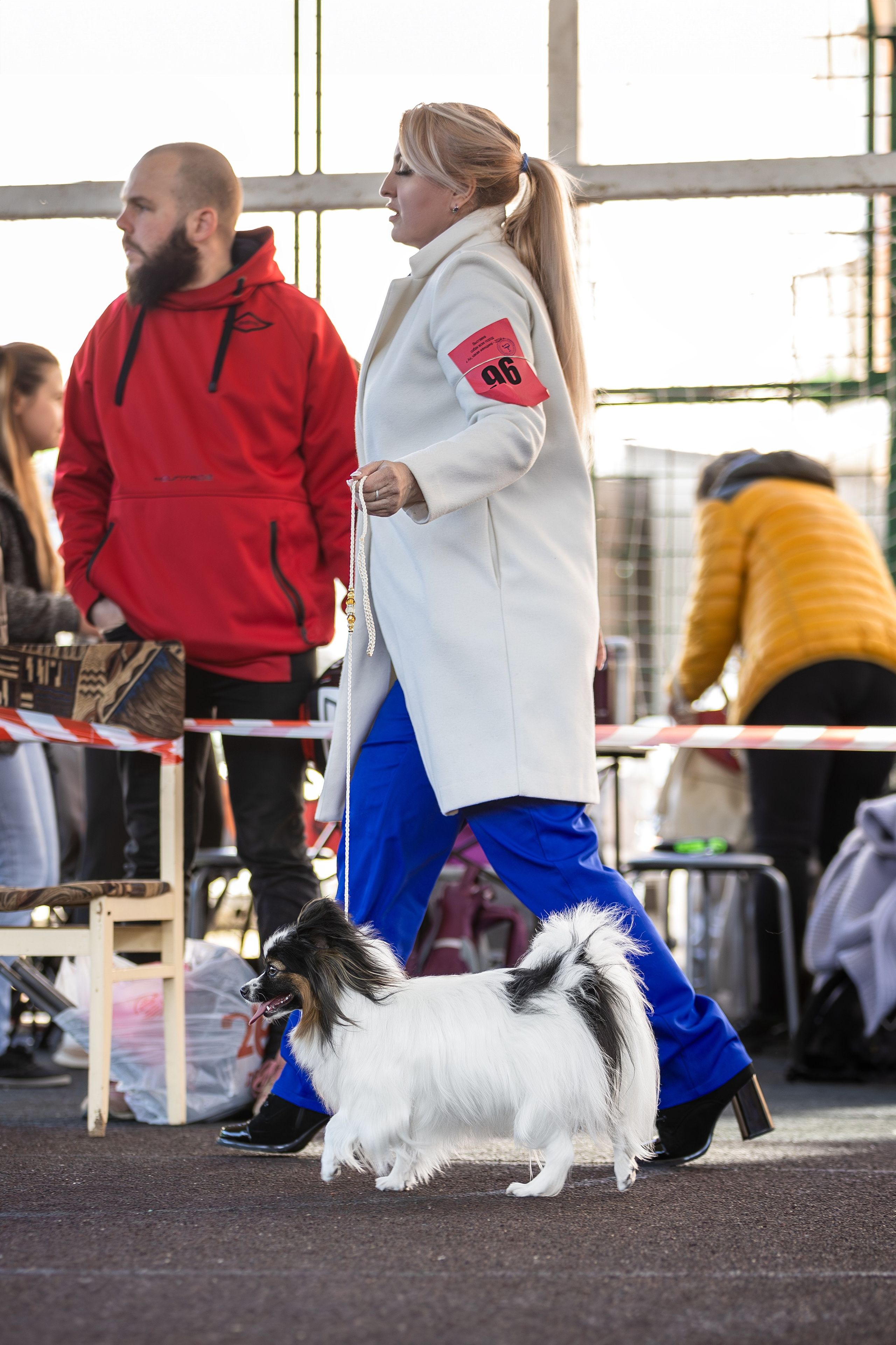 Выставка 25.02.2024. Ирина Голомб|Фотограф-анималист в  Сочи и Калининграде