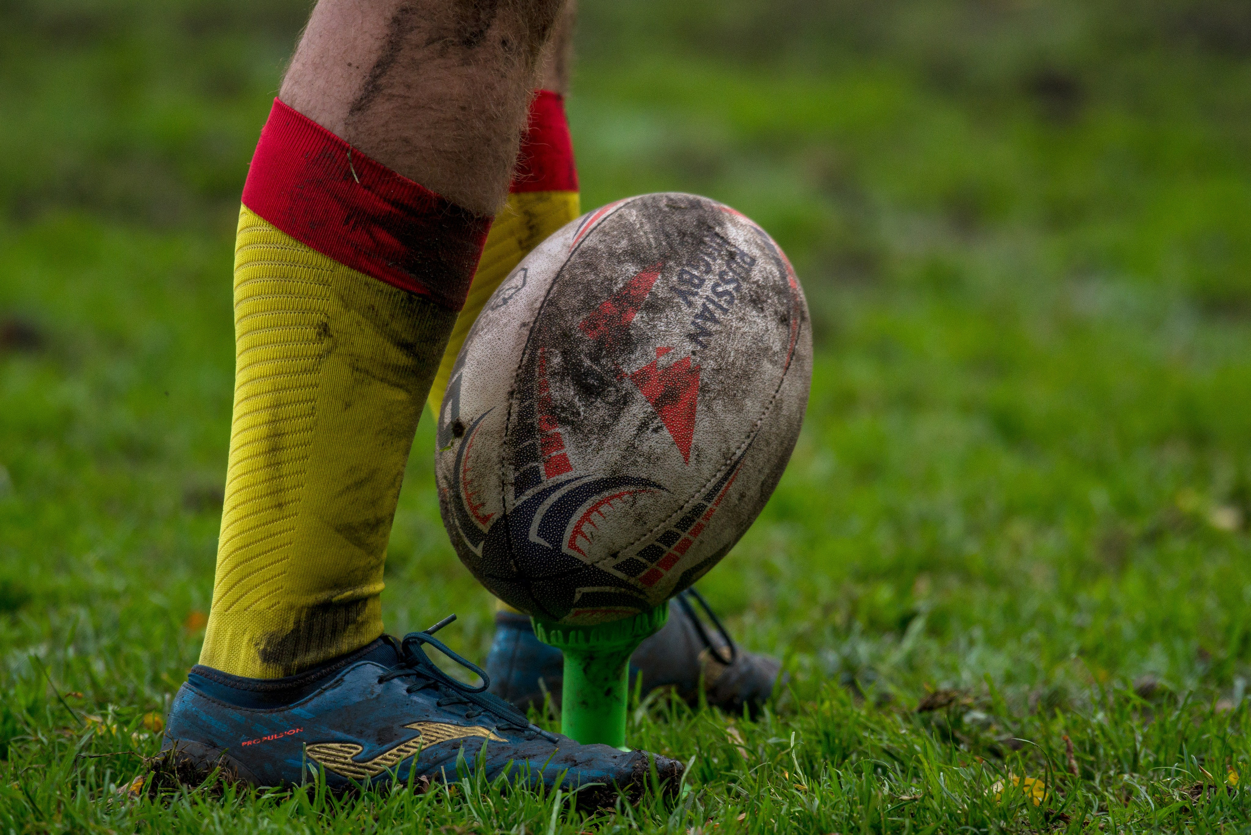 RUGBY. Lisa_krassna