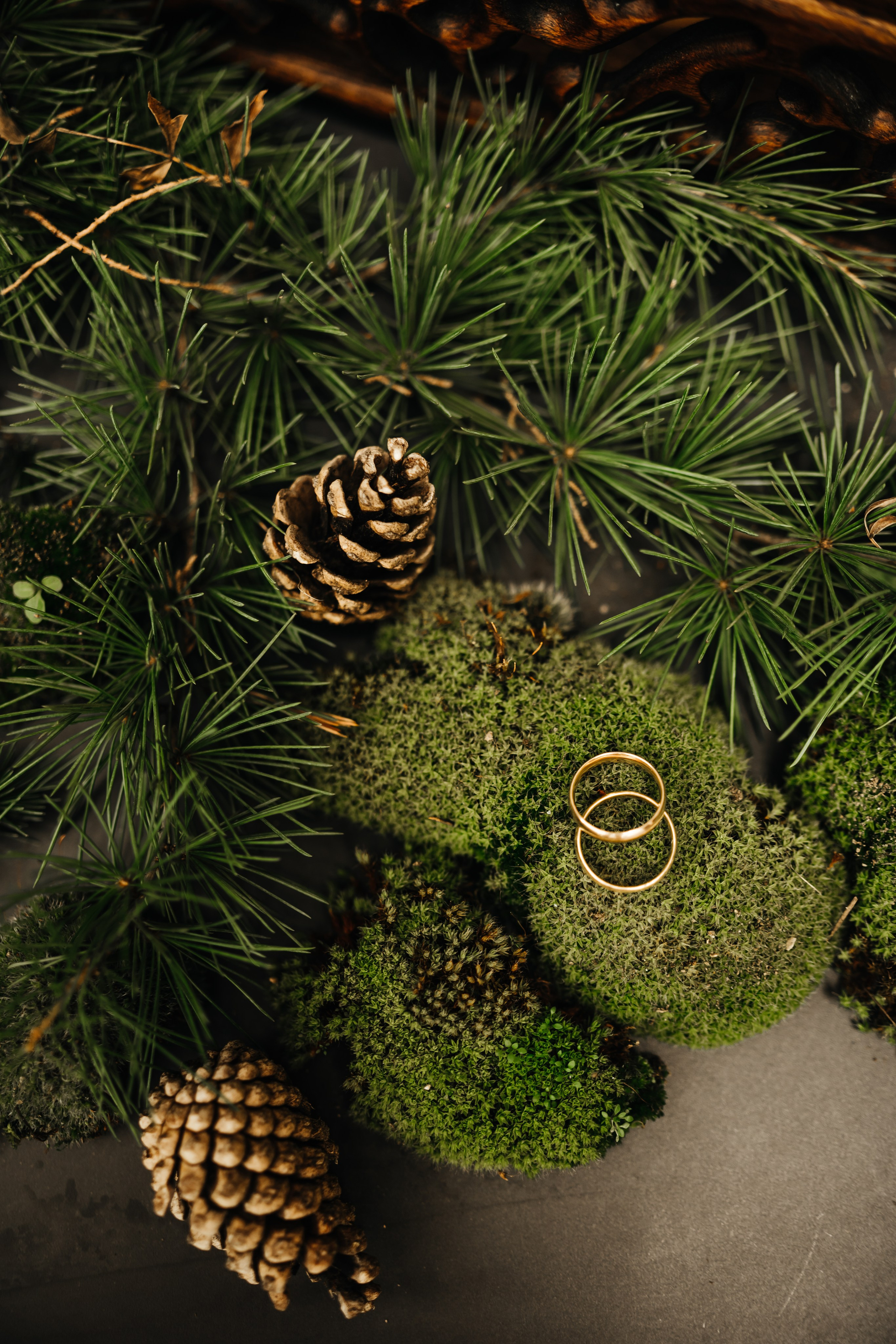 Свадебная фотосессия в отеле Паласа ( Крым). Свадебный и семейный фотограф и видеограф, Крым, Москва, Санкт -Петербург