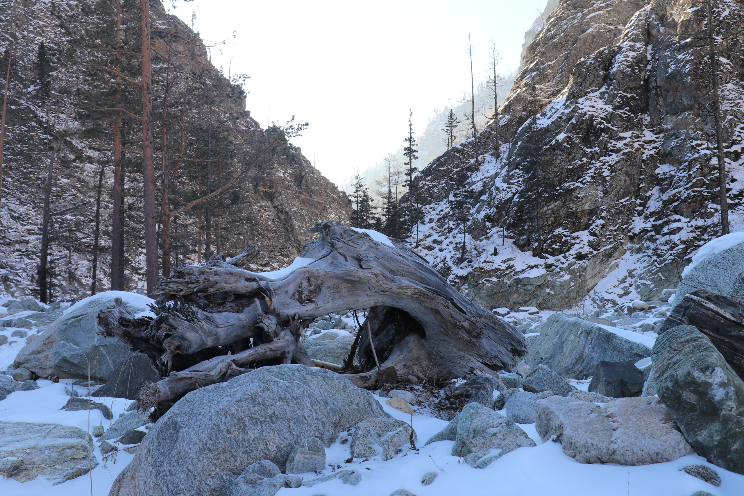 Аршан. Январь 2022. Путешественник-фотограф из Санкт-Петербурга Татьяна Свистулина