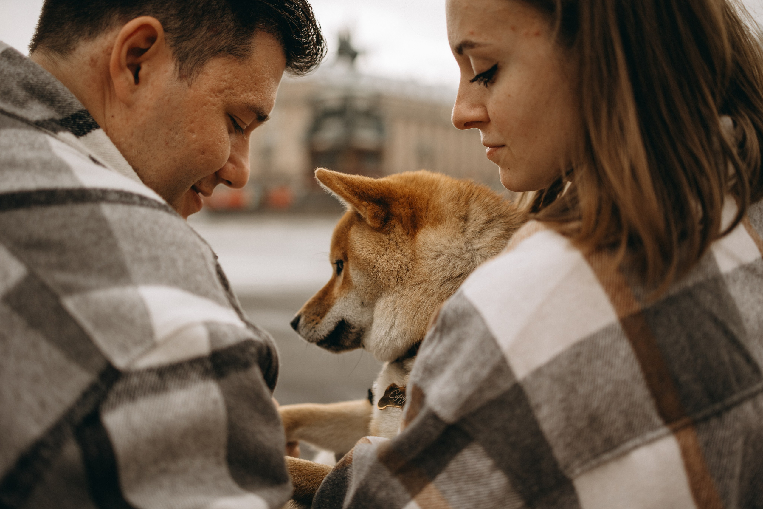 Сириус и его семья. Фотограф — Анималист | Санкт-Петербург