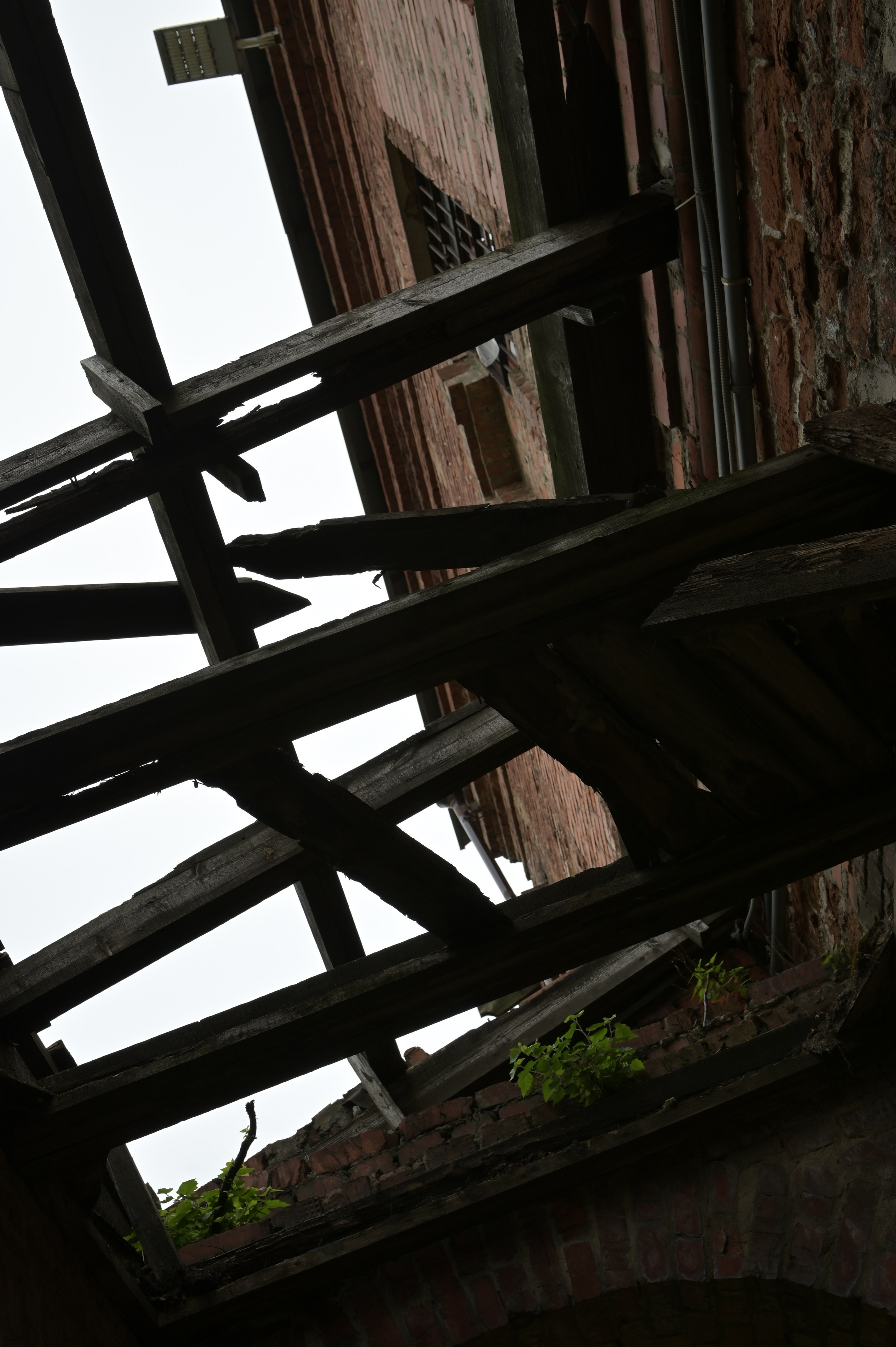 20240616 Крутицкое подворье. Дмитрий Ремизов. Фотография, как хобби