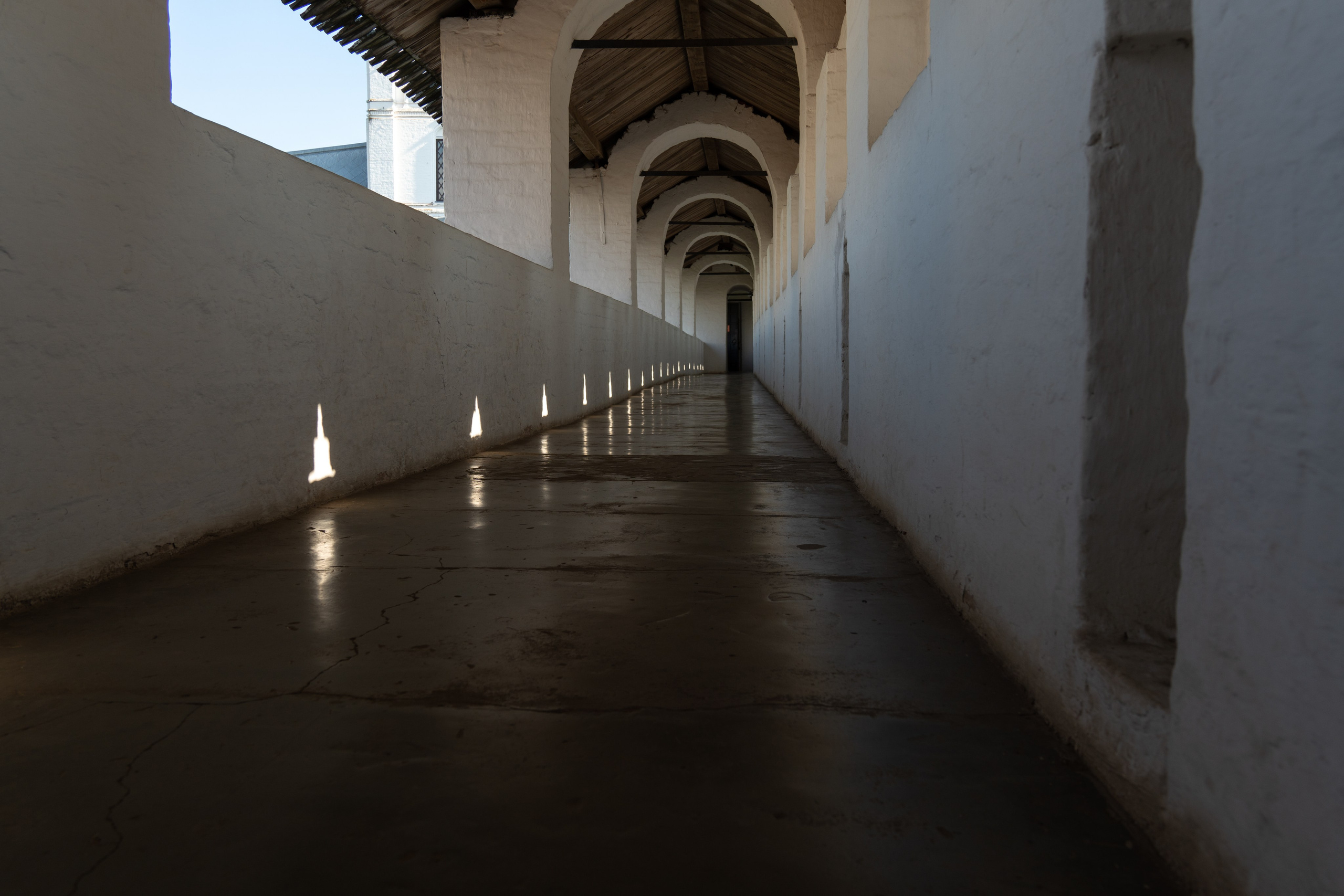 20250729-30 Ростов. Дмитрий Ремизов. Фотография, как хобби