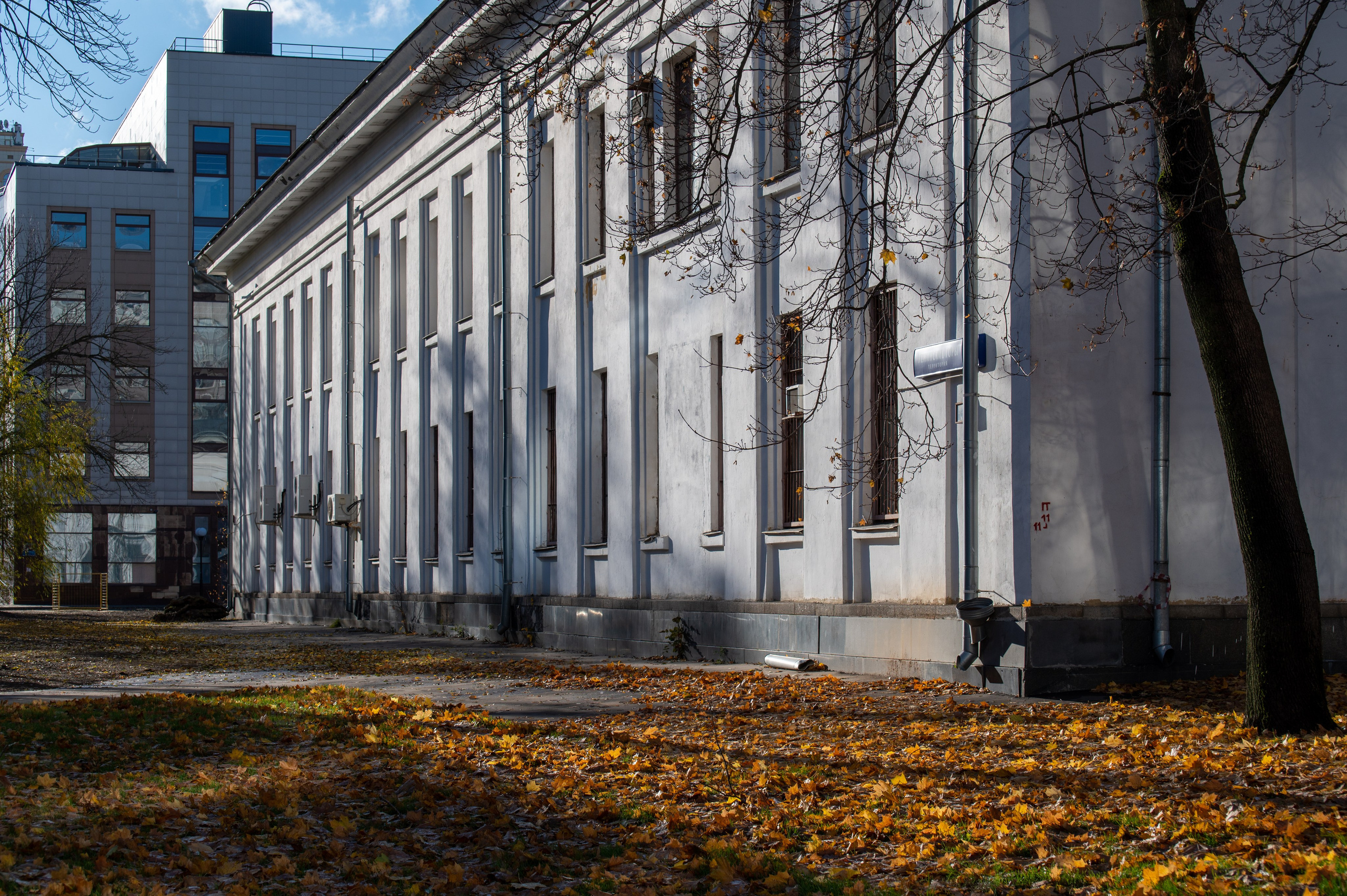 20241102 МГУ. Дмитрий Ремизов. Фотография, как хобби