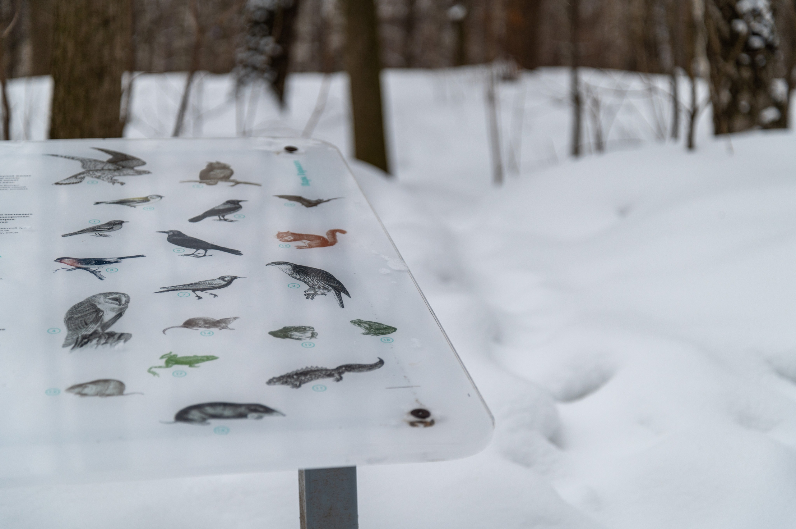 20230305 Воробьёвы и Лужники. Дмитрий Ремизов. Фотография, как хобби