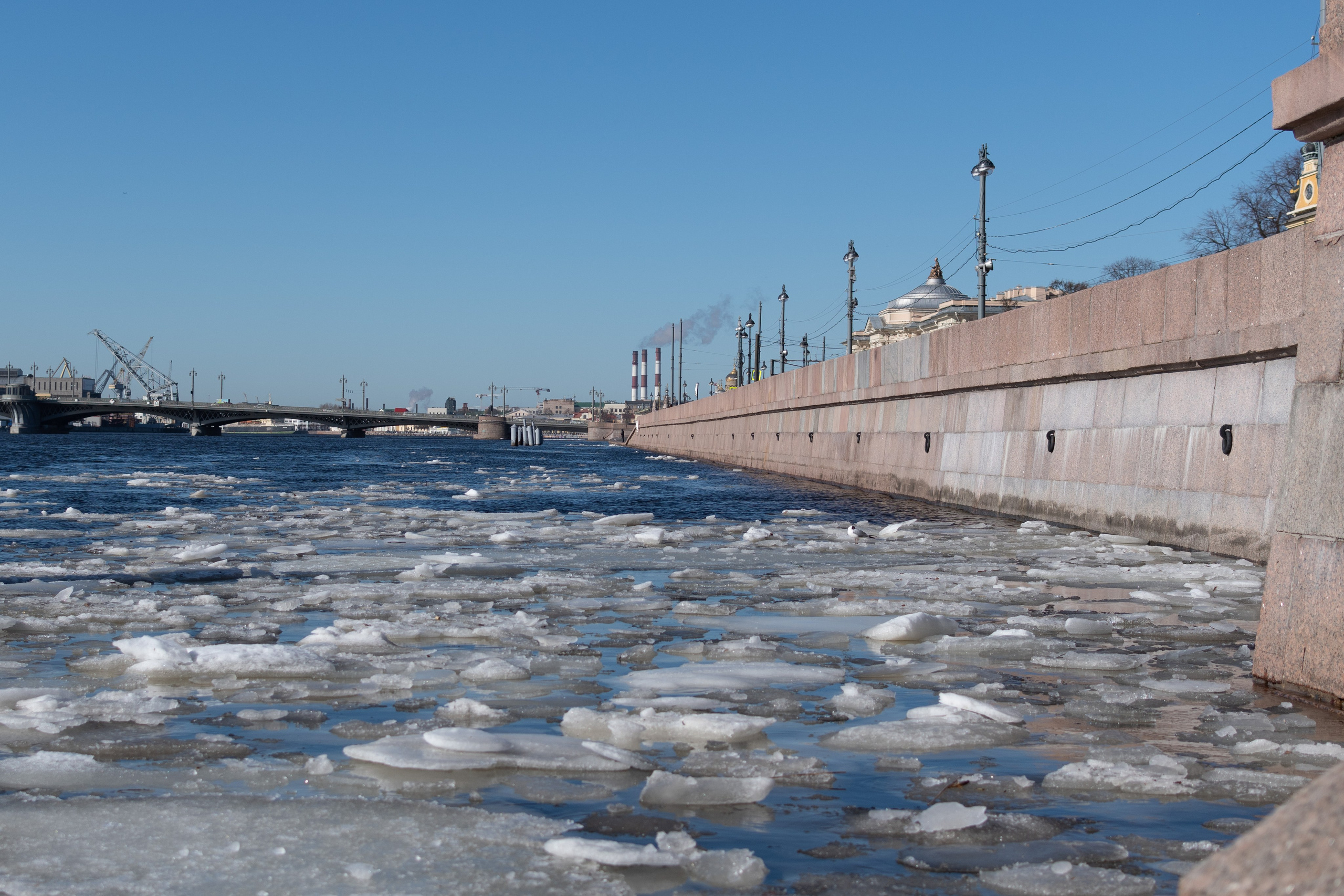 20220411-16 Санкт-Петербург. Дмитрий Ремизов. Фотография, как хобби