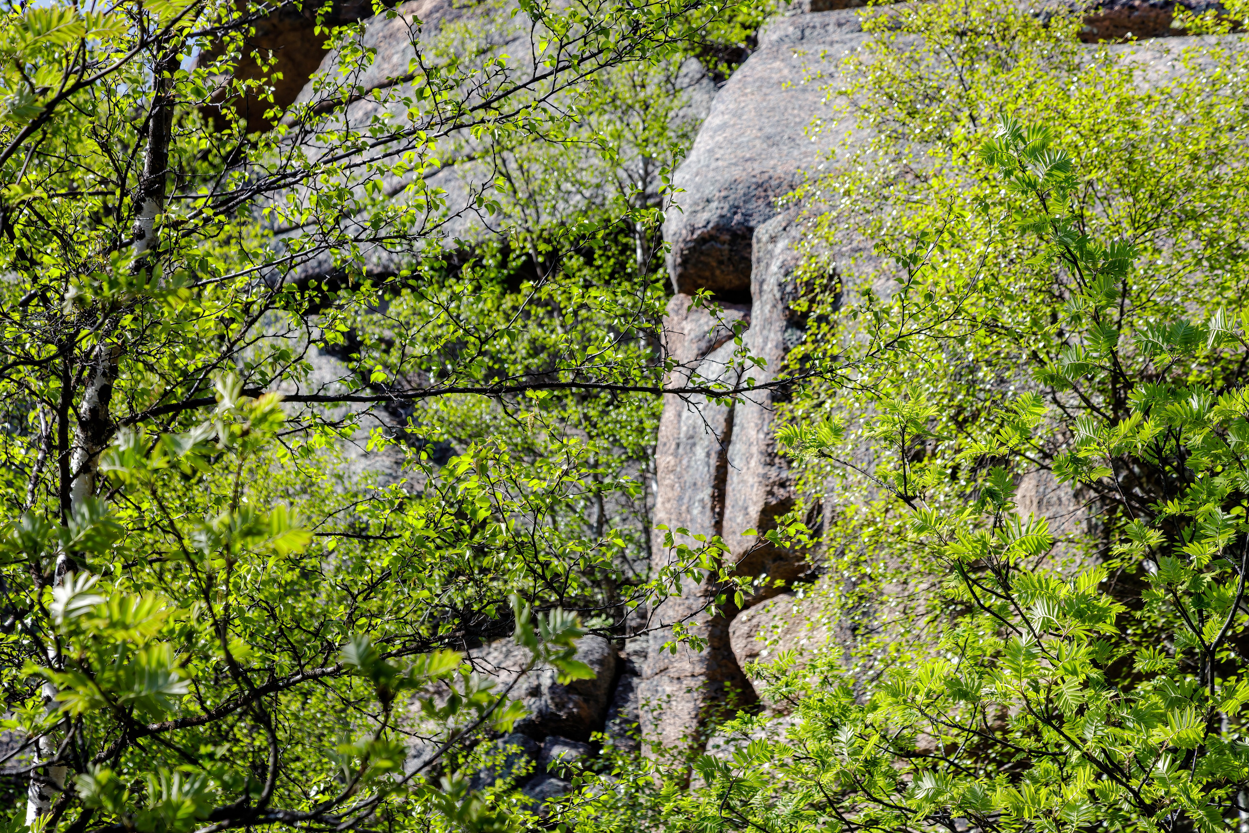 Архипелаг Кузова (ландшафтный заказник). Аэросъемка. Фото и Видео в Карелии. Алексей Фрилунд