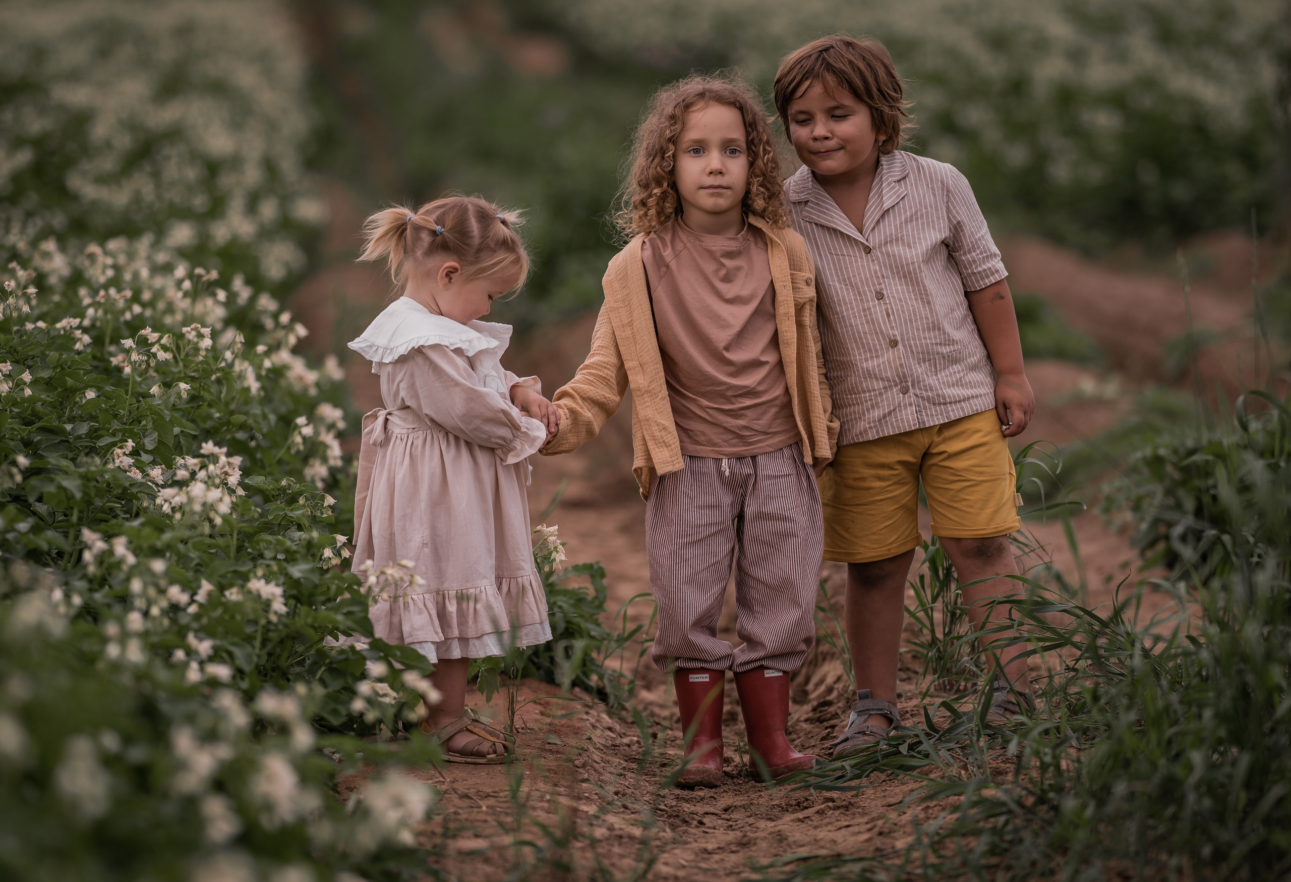 Пшеничное поле, август. Семейный фотограф Ефремова Виктория