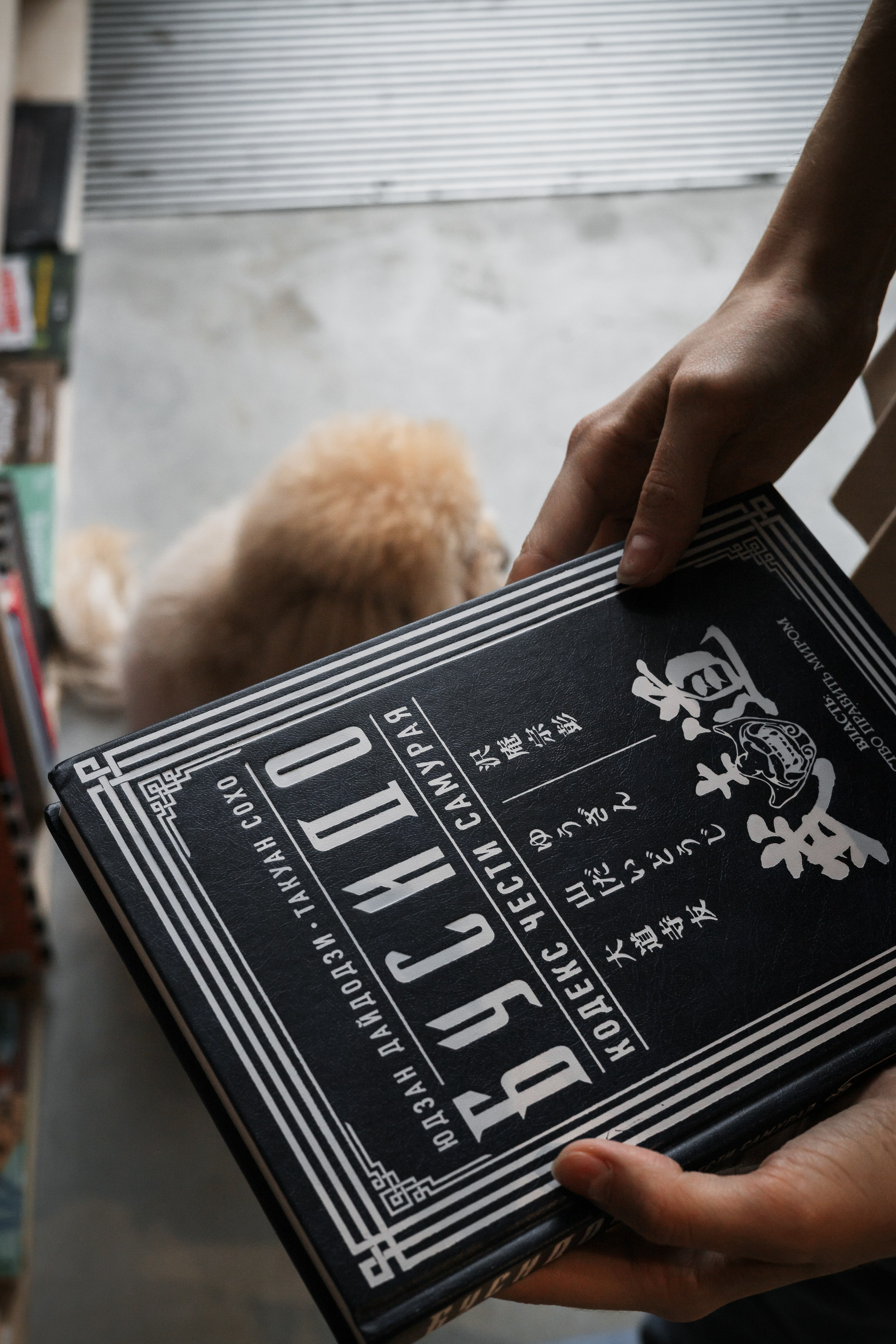 Алина — прогулка