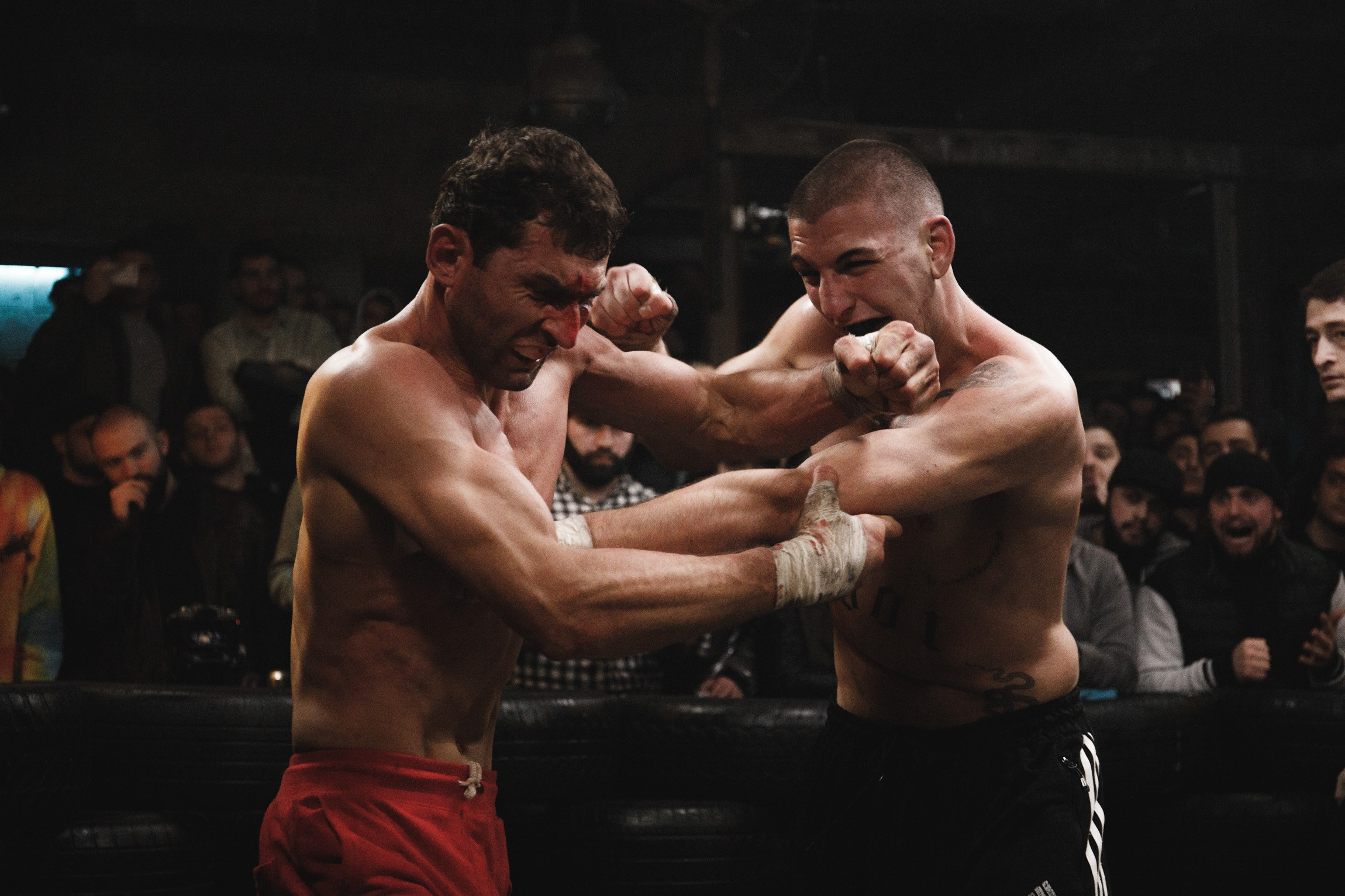 Sport / Events. Bivol images