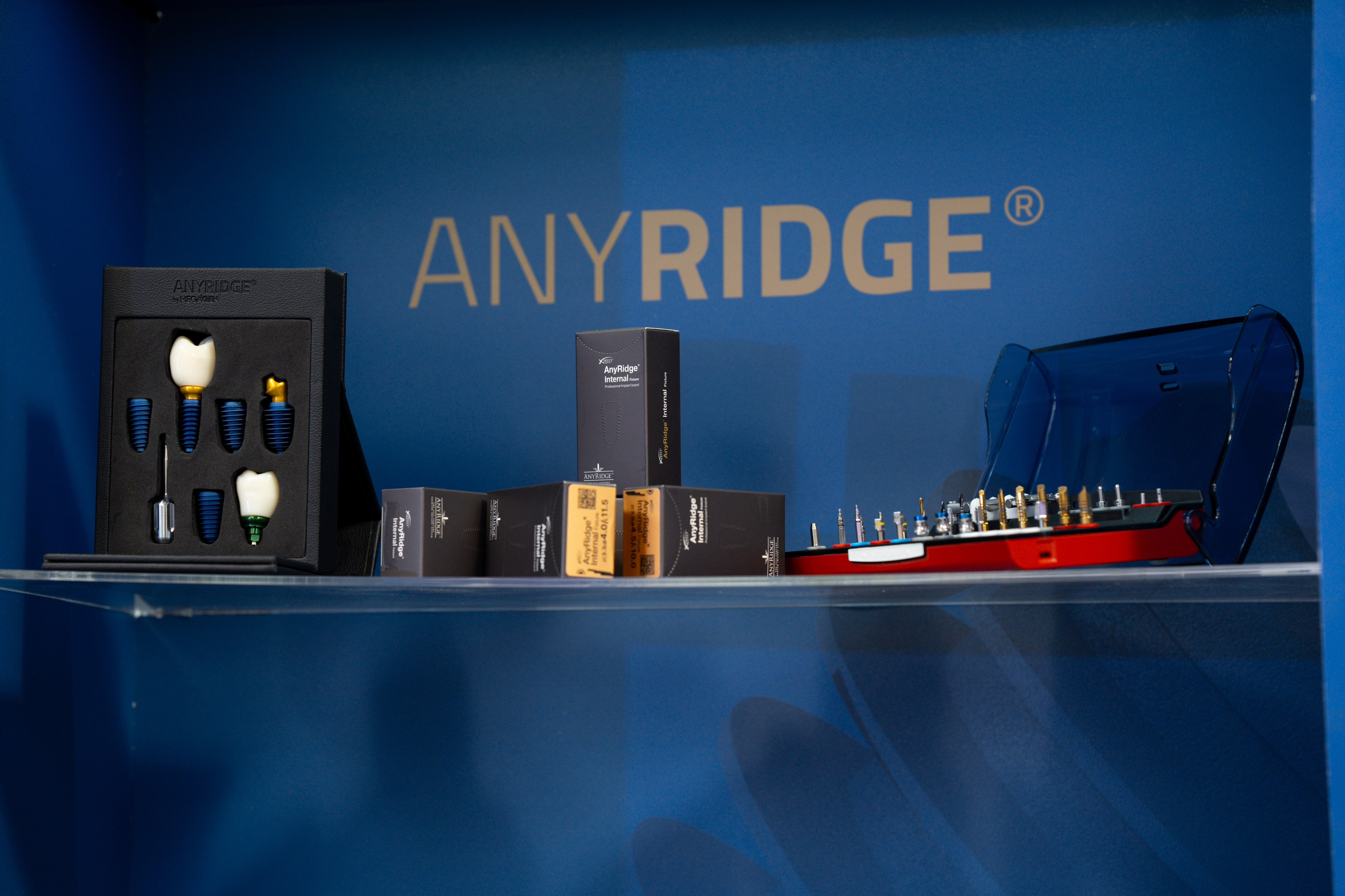 Синергиум. Фотограф Москва